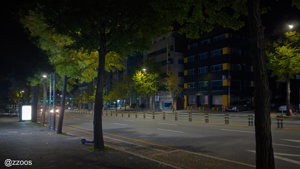 まだ暗い早朝、車の通らない静かな道路