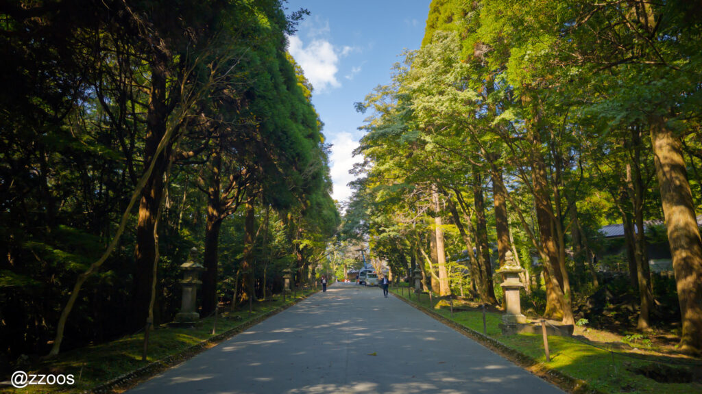緑に包まれた参道