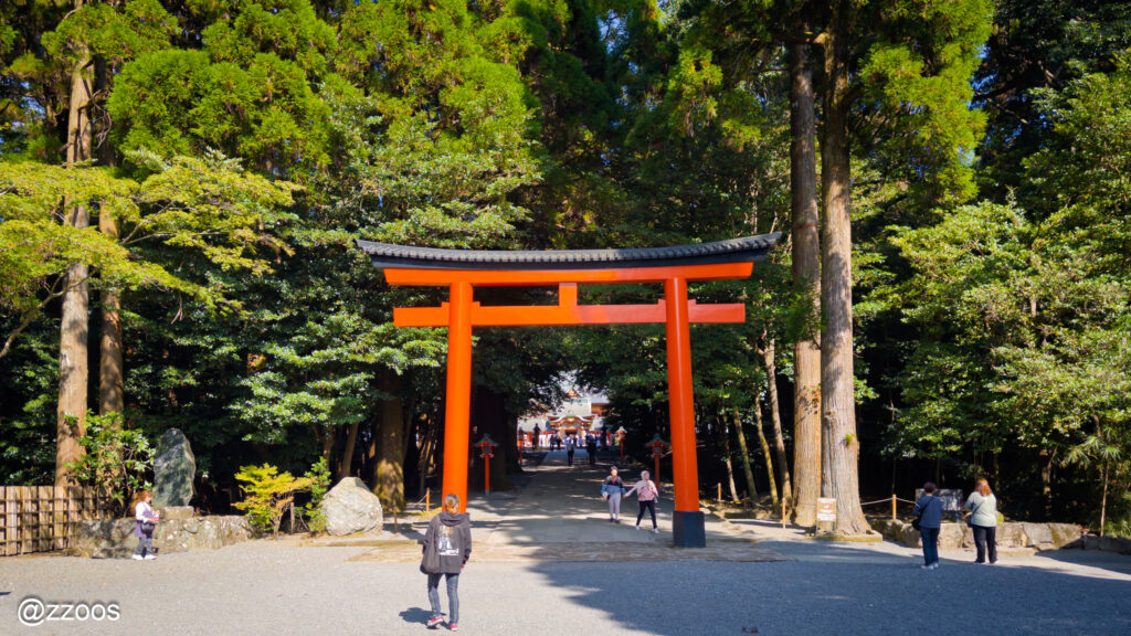 赤い鳥居の奥へと続く森の参道