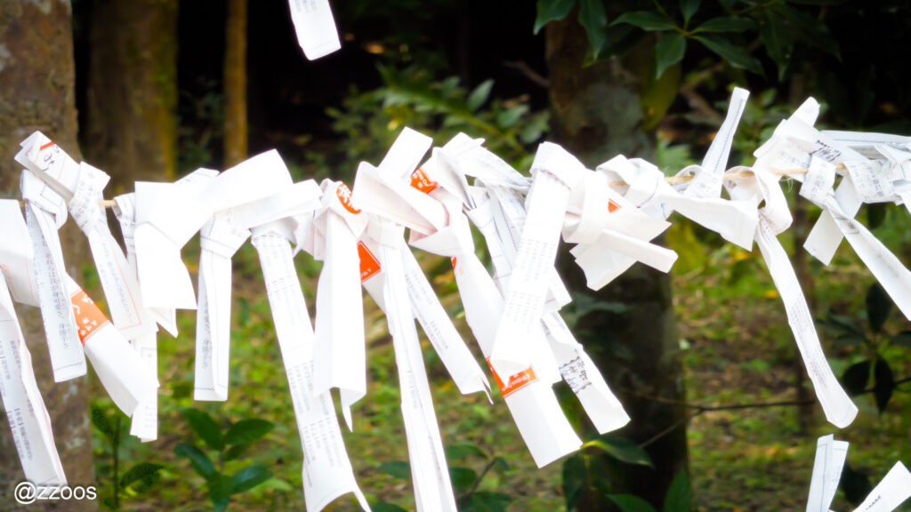 紐に結ばれたおみくじ