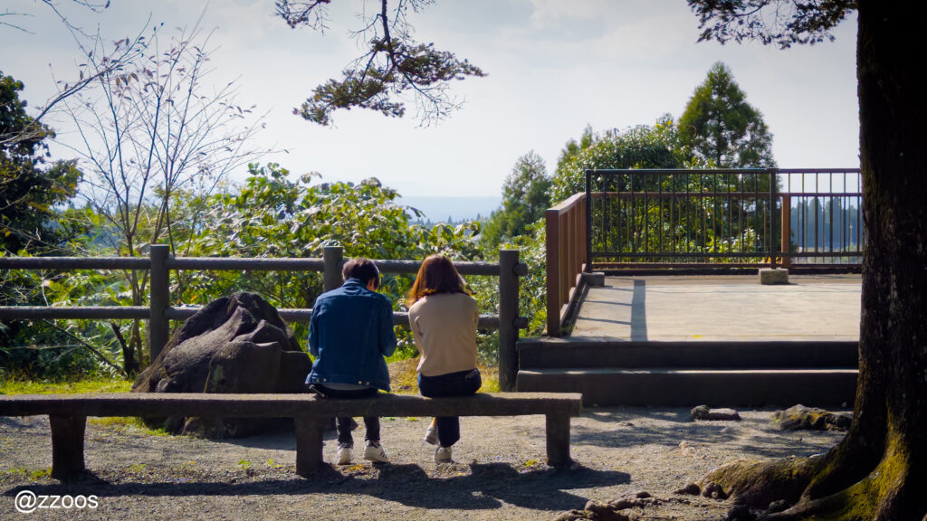 大きな木の下のベンチに座る恋人たちの後ろ姿