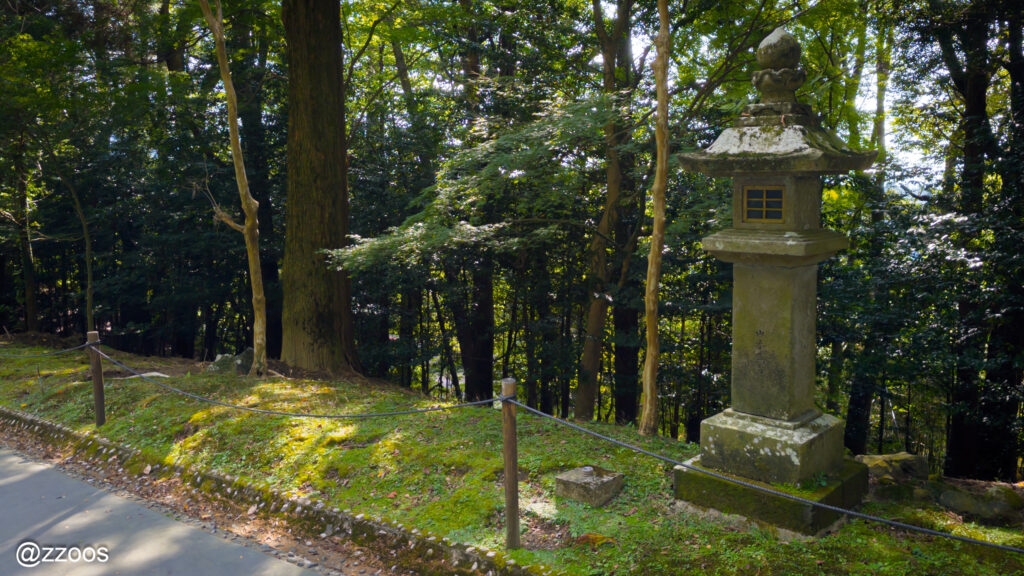 石灯籠が並ぶ森の小道