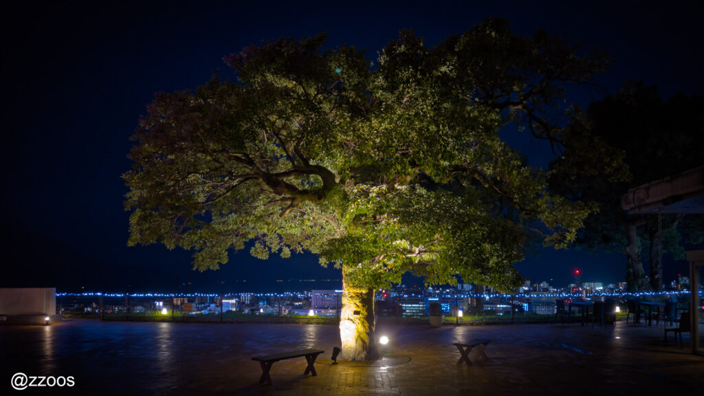 ワインバーCellar N前の庭園の夜景