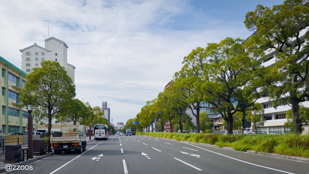 鹿児島の道路沿いに並ぶ街路樹。南国らしい力強い雰囲気。