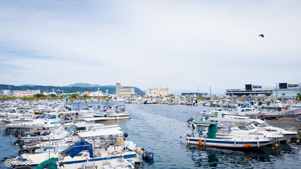 港に停泊している複数の船。