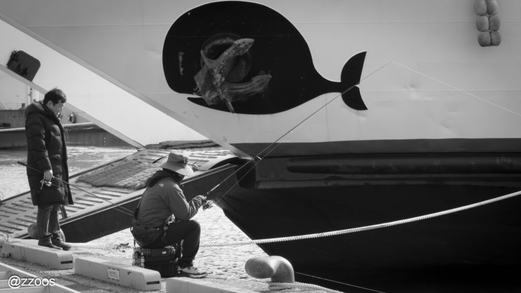 モクポ北港の釣り人たち