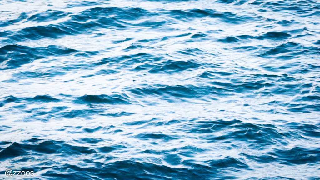 ゴハド沿岸の海の波