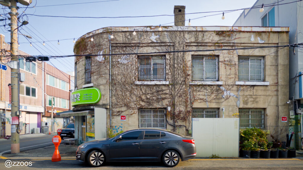 古い建物の壁に沿って伸びたツタ
