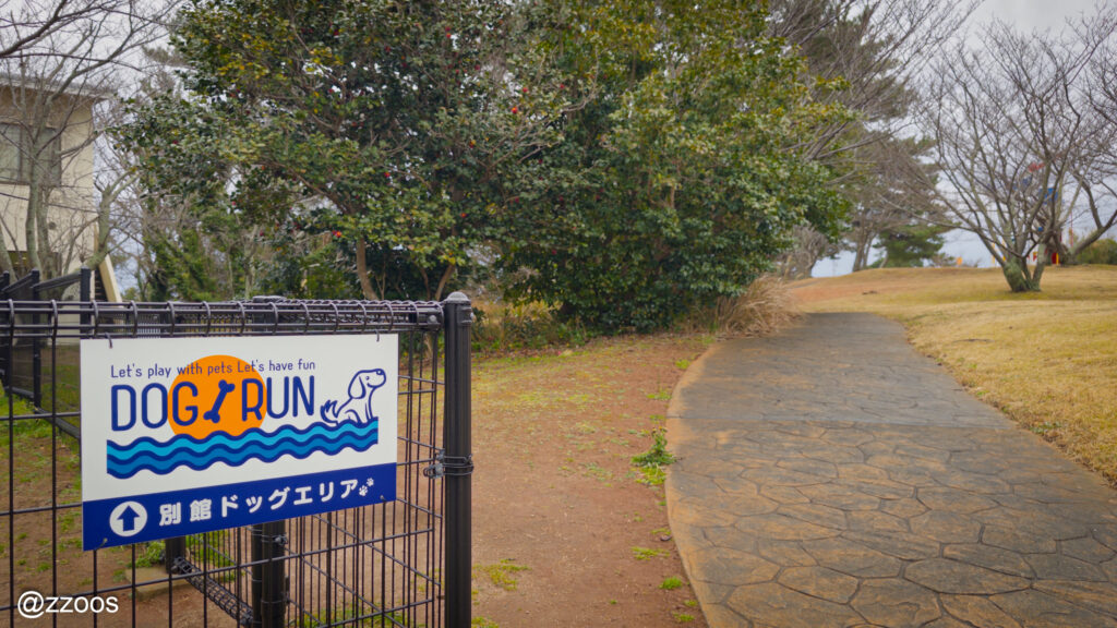 旅館の裏の散歩道