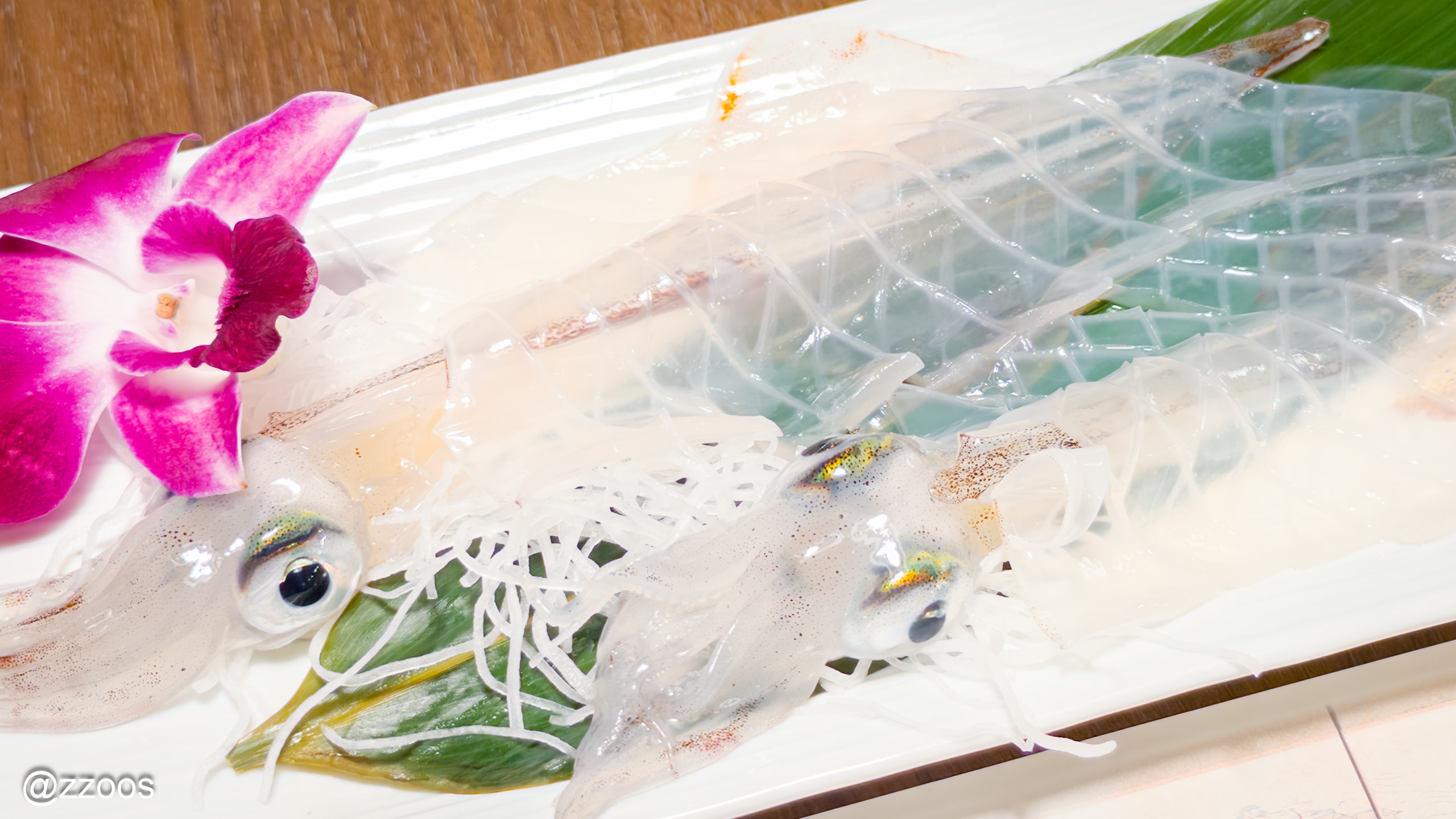 生きているイカ、そのままの姿