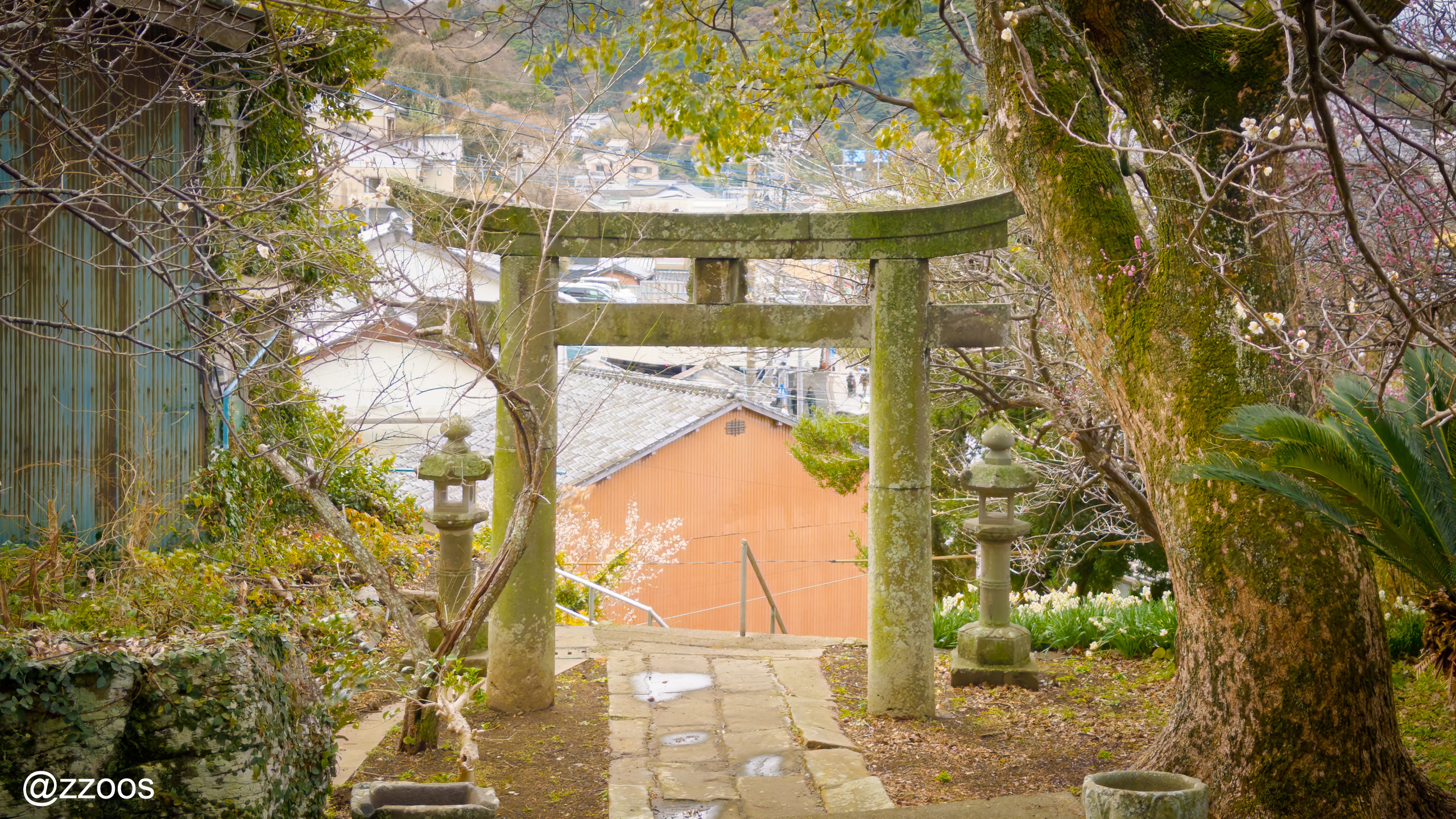 小さな港町さんぽ