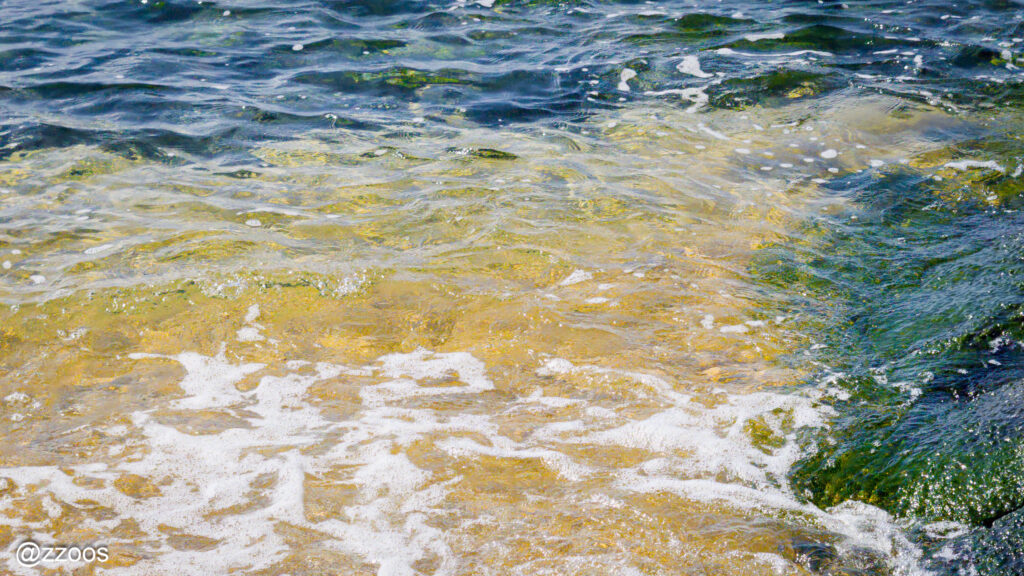 The clear waves at Hadomisaki Beach.