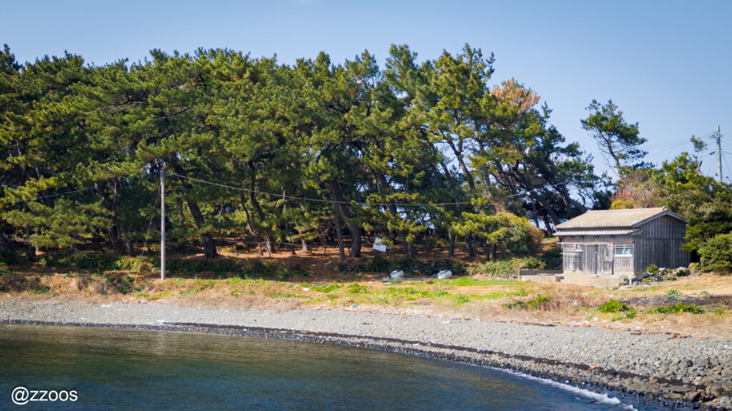 A warehouse beside a pine grove by the sea