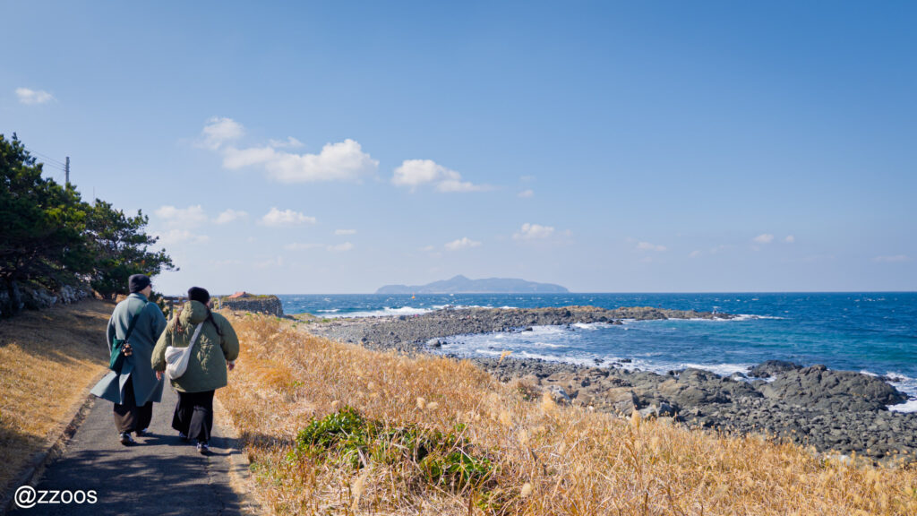 A couple walking along the seaside.