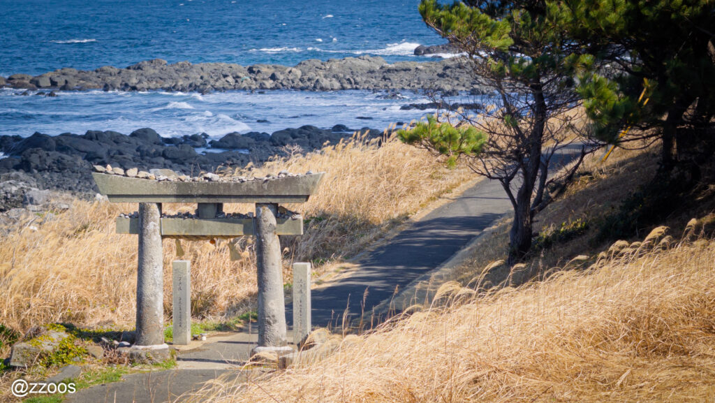The sea, reeds, a small path, and a stone torii.