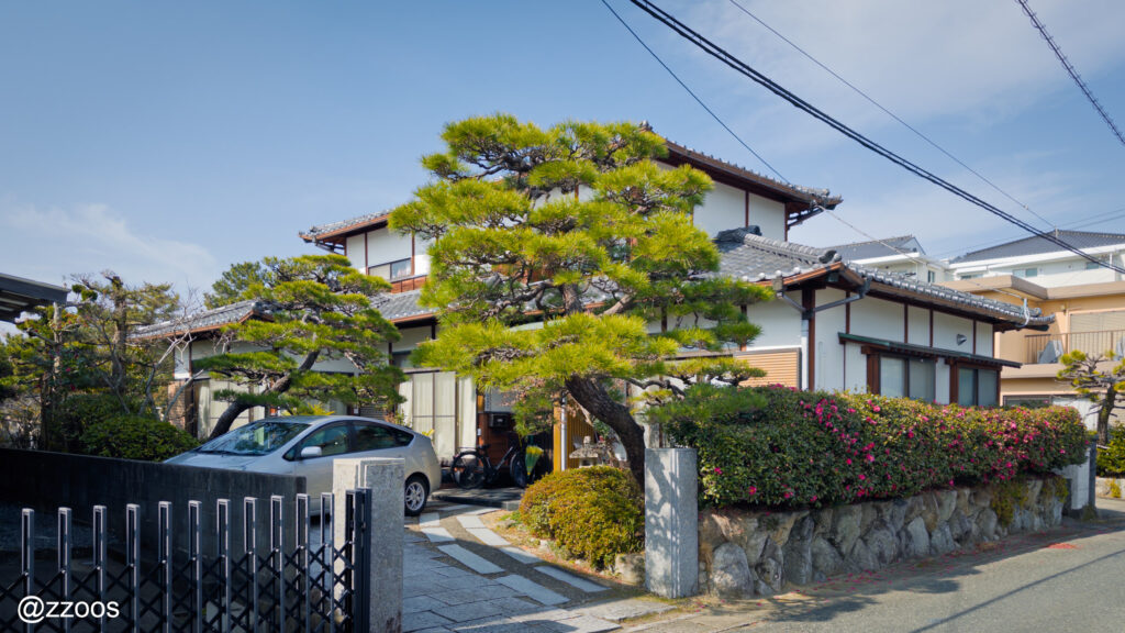 A house with a beautiful pine tree in its garden