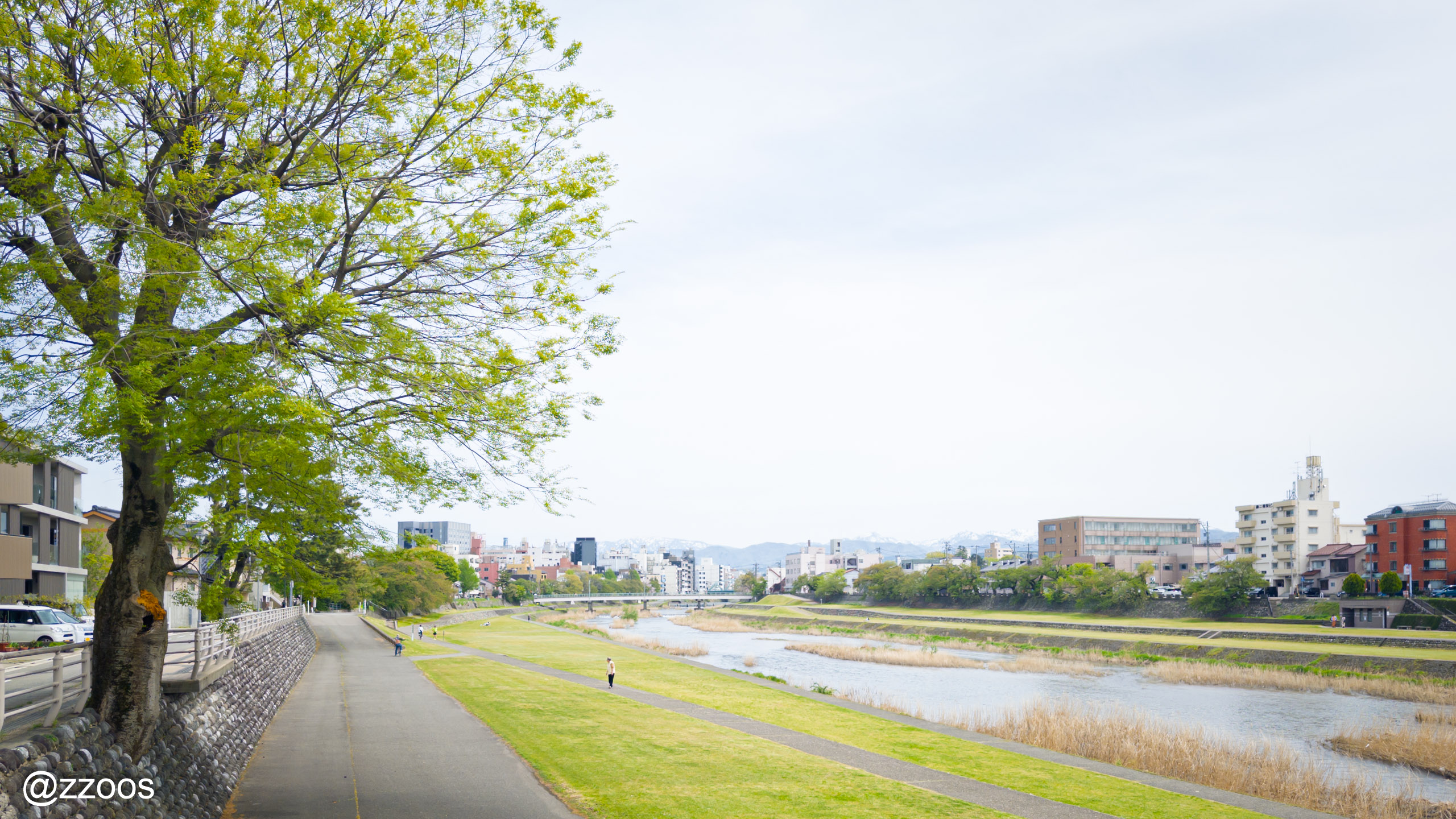 金沢の犀川沿いの緑地と散歩道