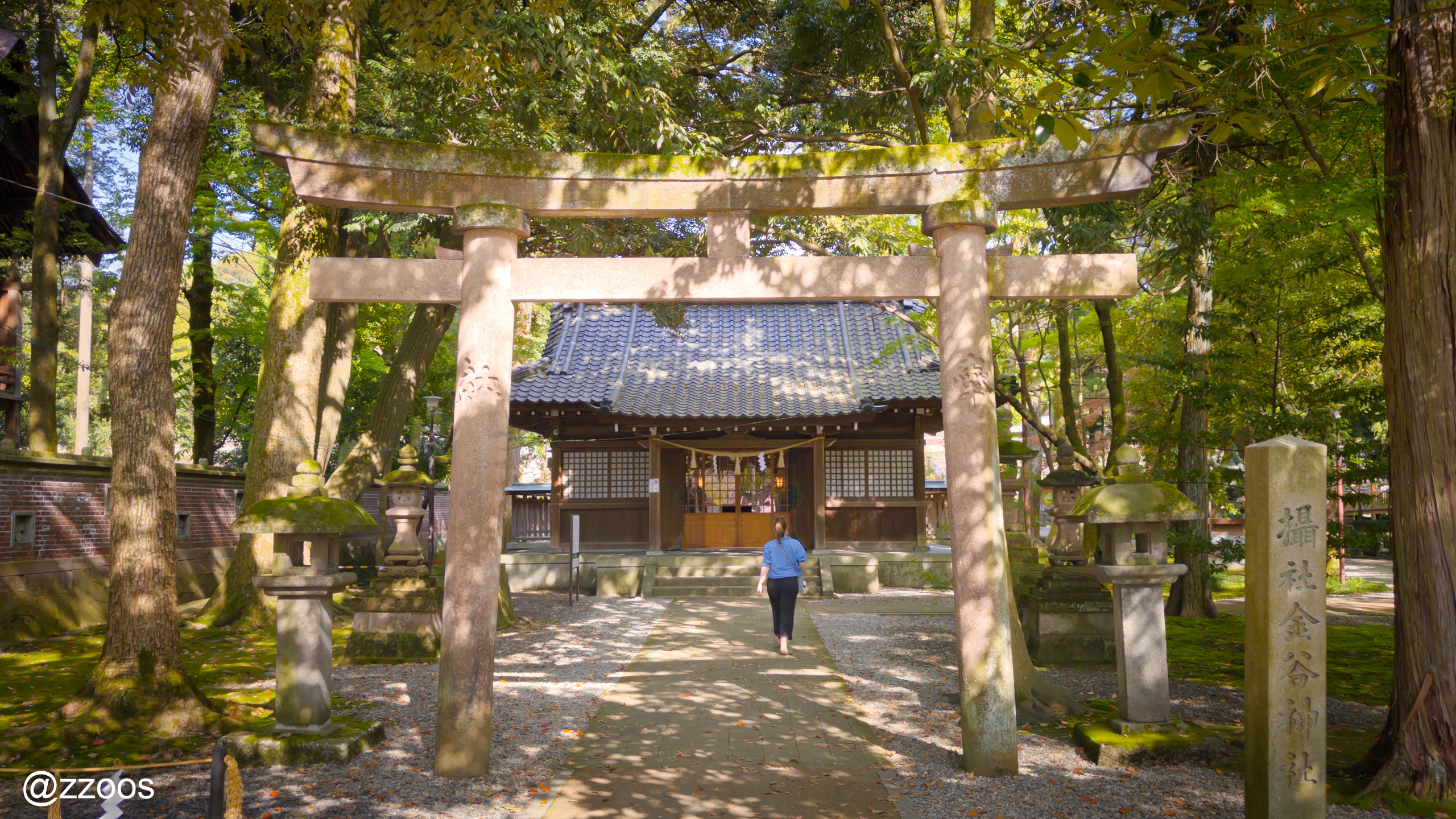 尾山神社境内の金谷神社の全景