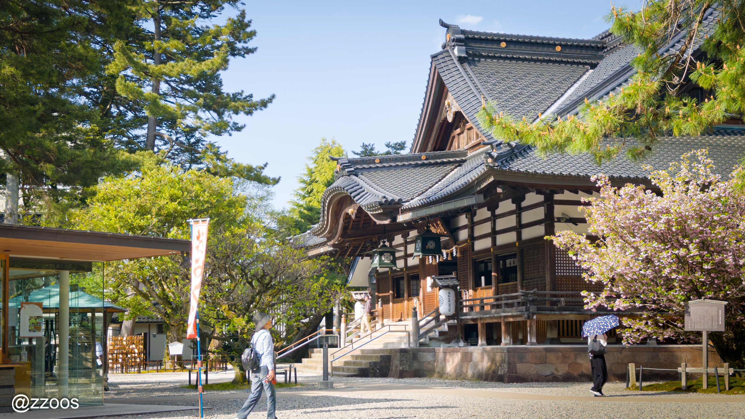 尾山神社の桜と新緑の風景
