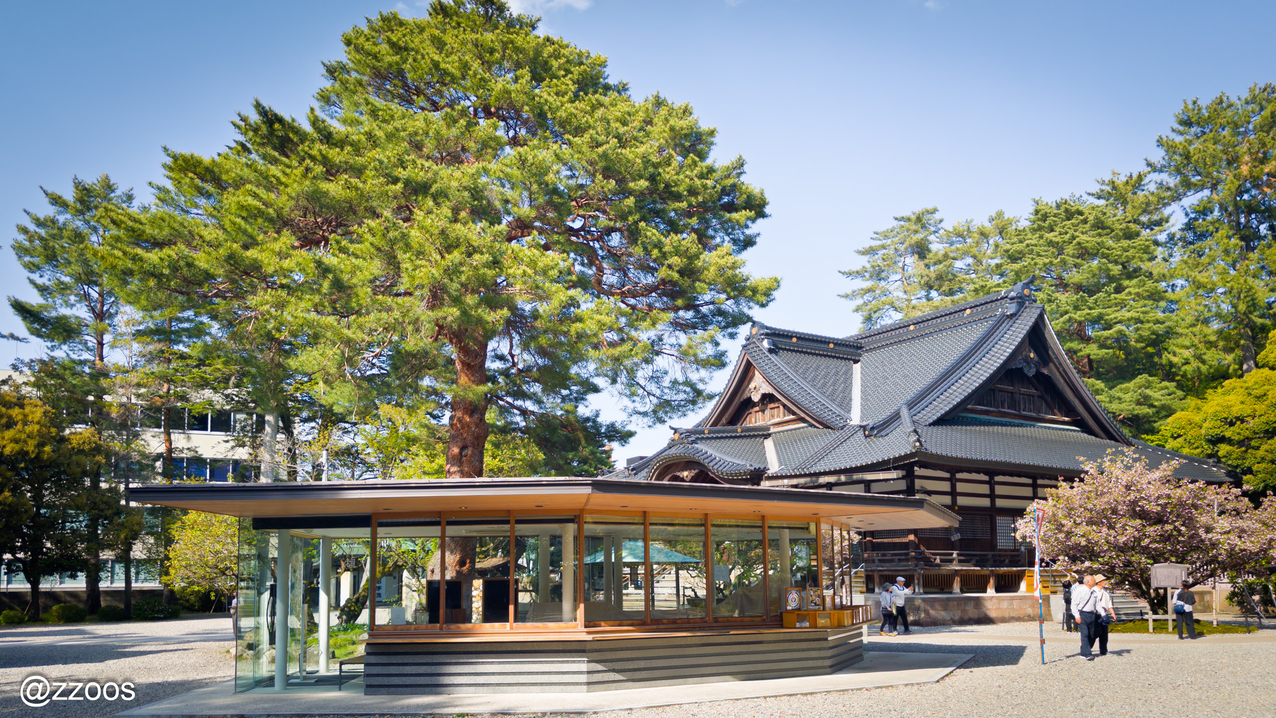尾山神社の現代的な社務所の建物
