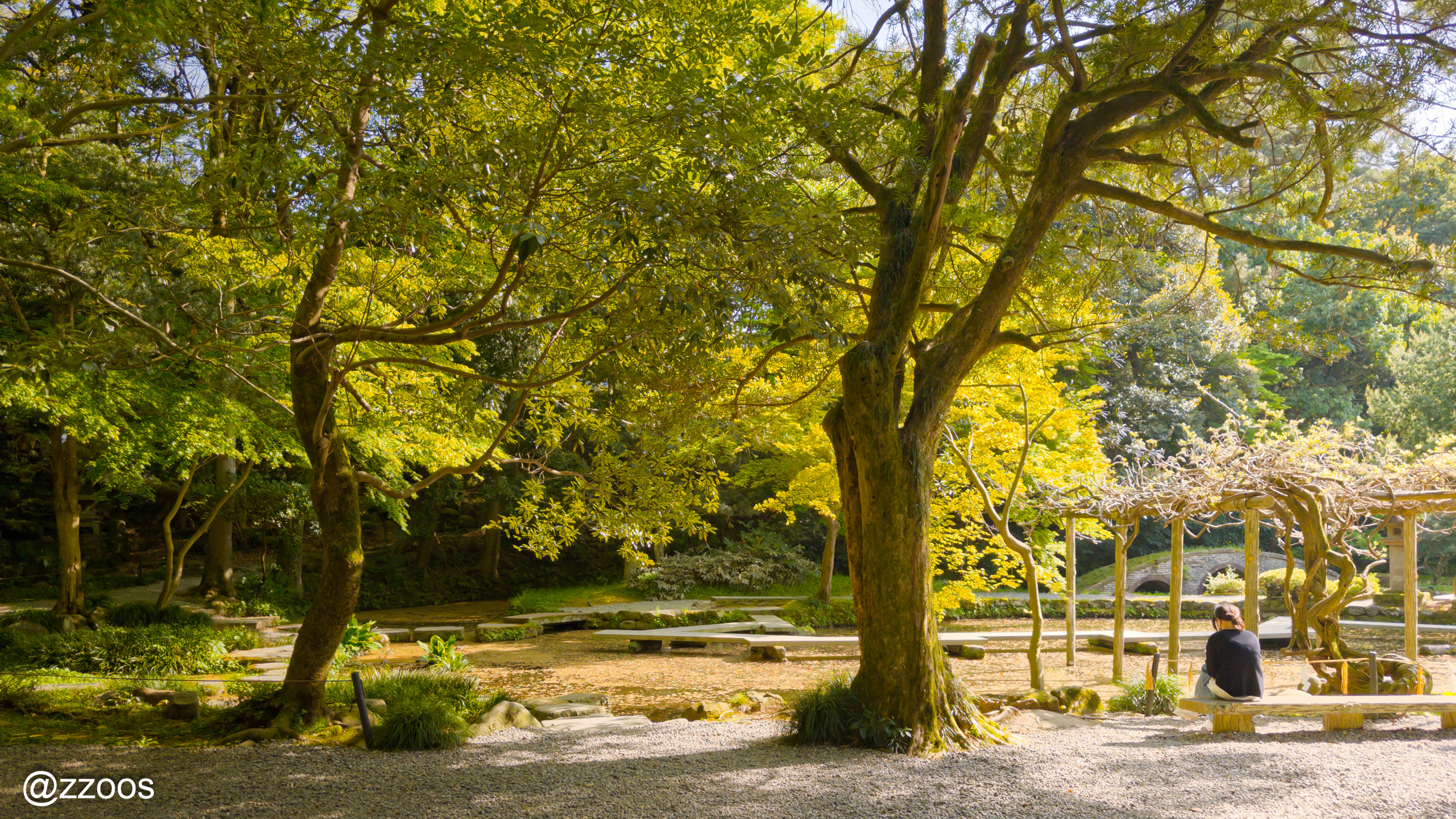 尾山神社の庭園の池の風景