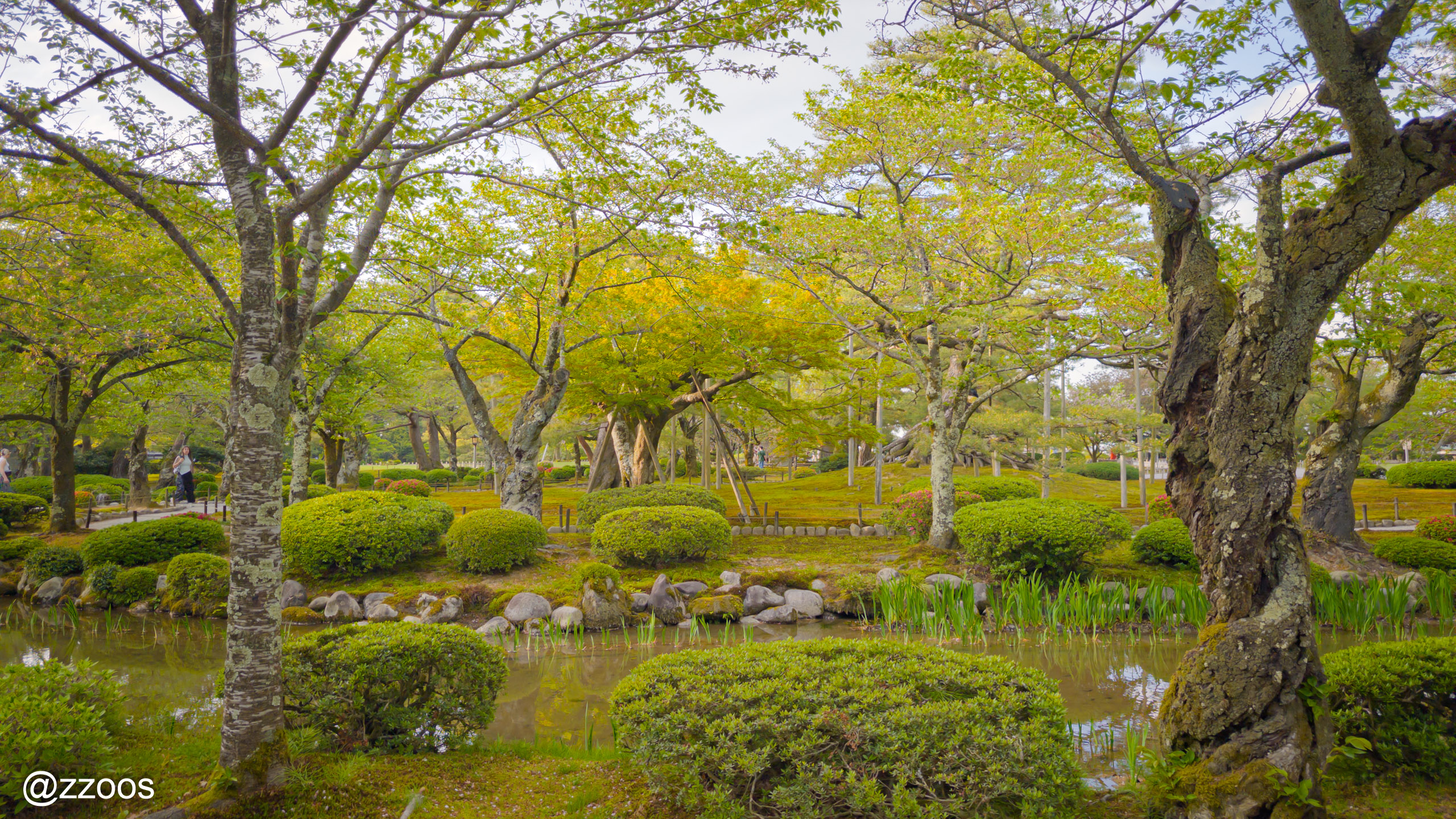 Trees and water along a path at Kenrokuen Garden