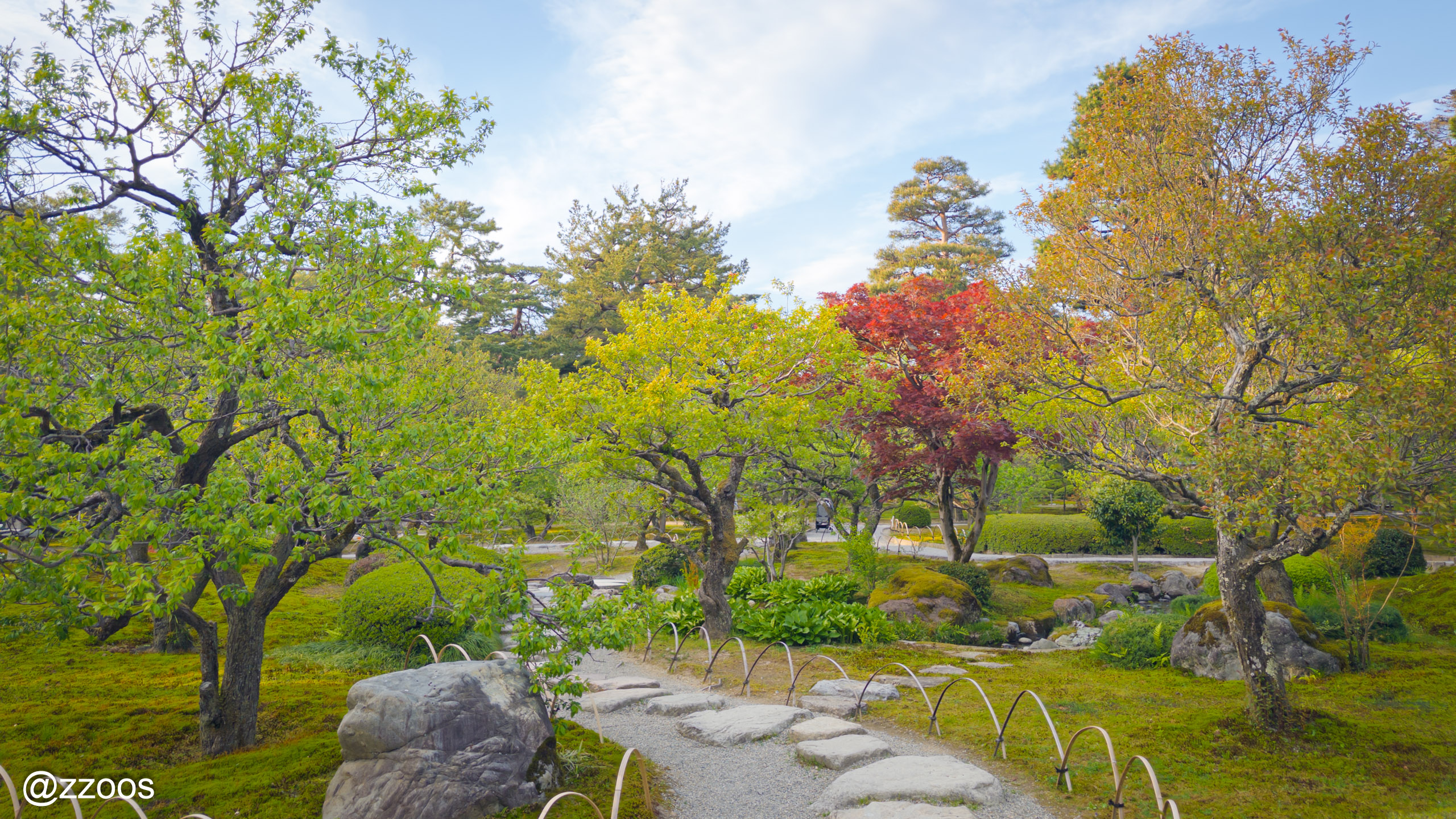 Plum grove at Kenrokuen Garden