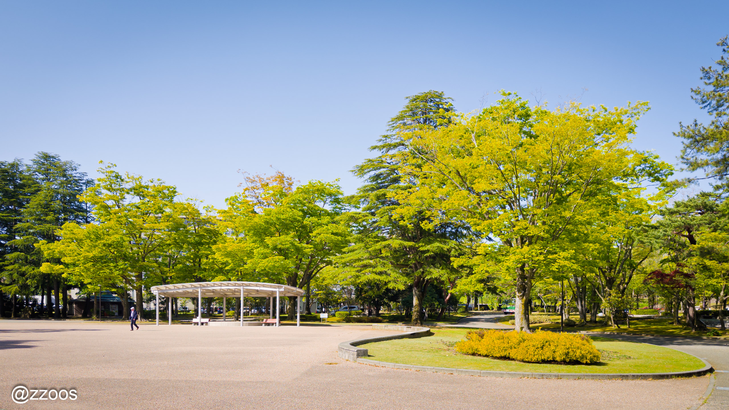 View from a bench at Ishikawa Shiko Memorial Park