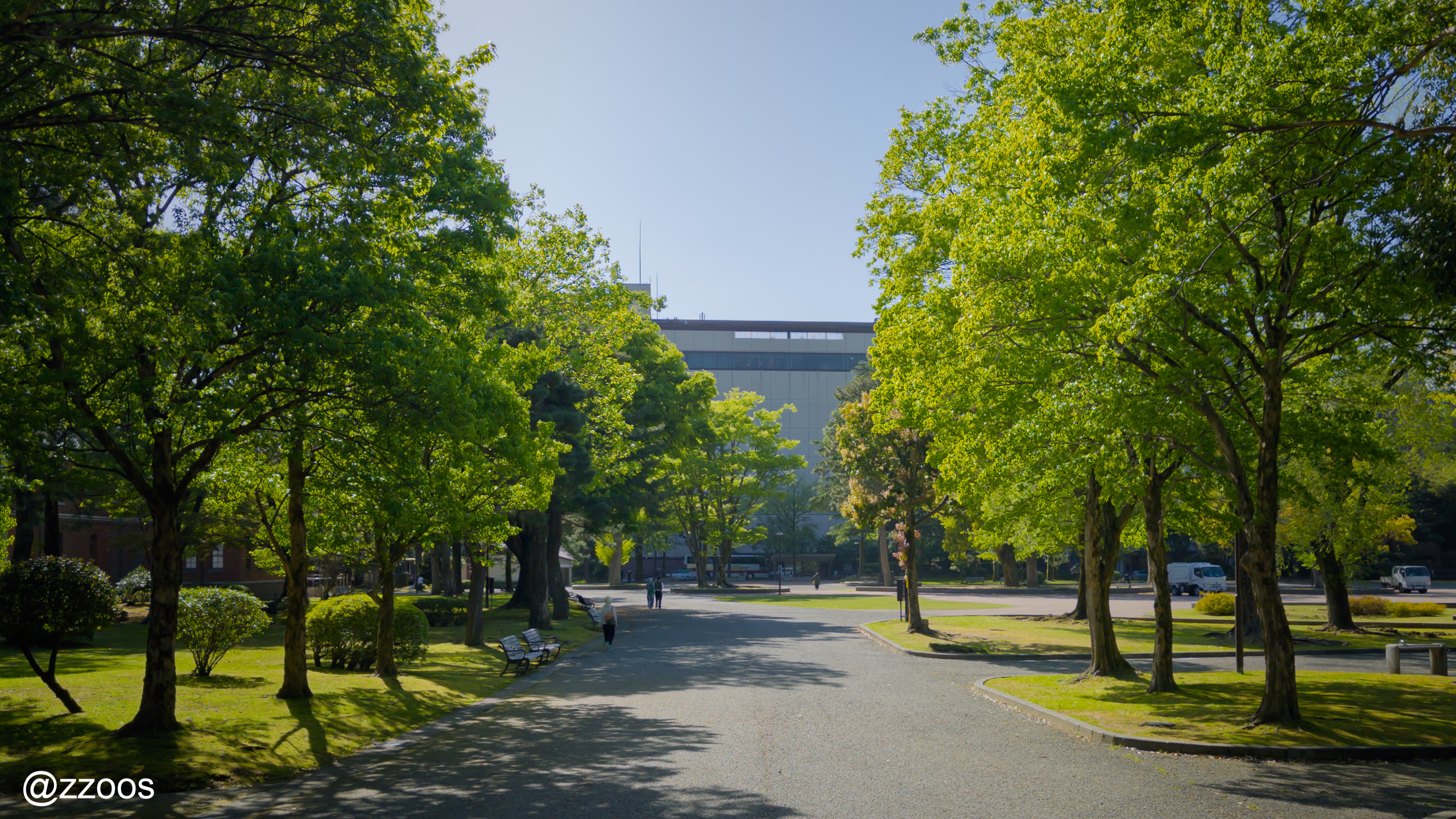 Afternoon sunlight and scenery around the benches at Ishikawa Shiko Memorial Park