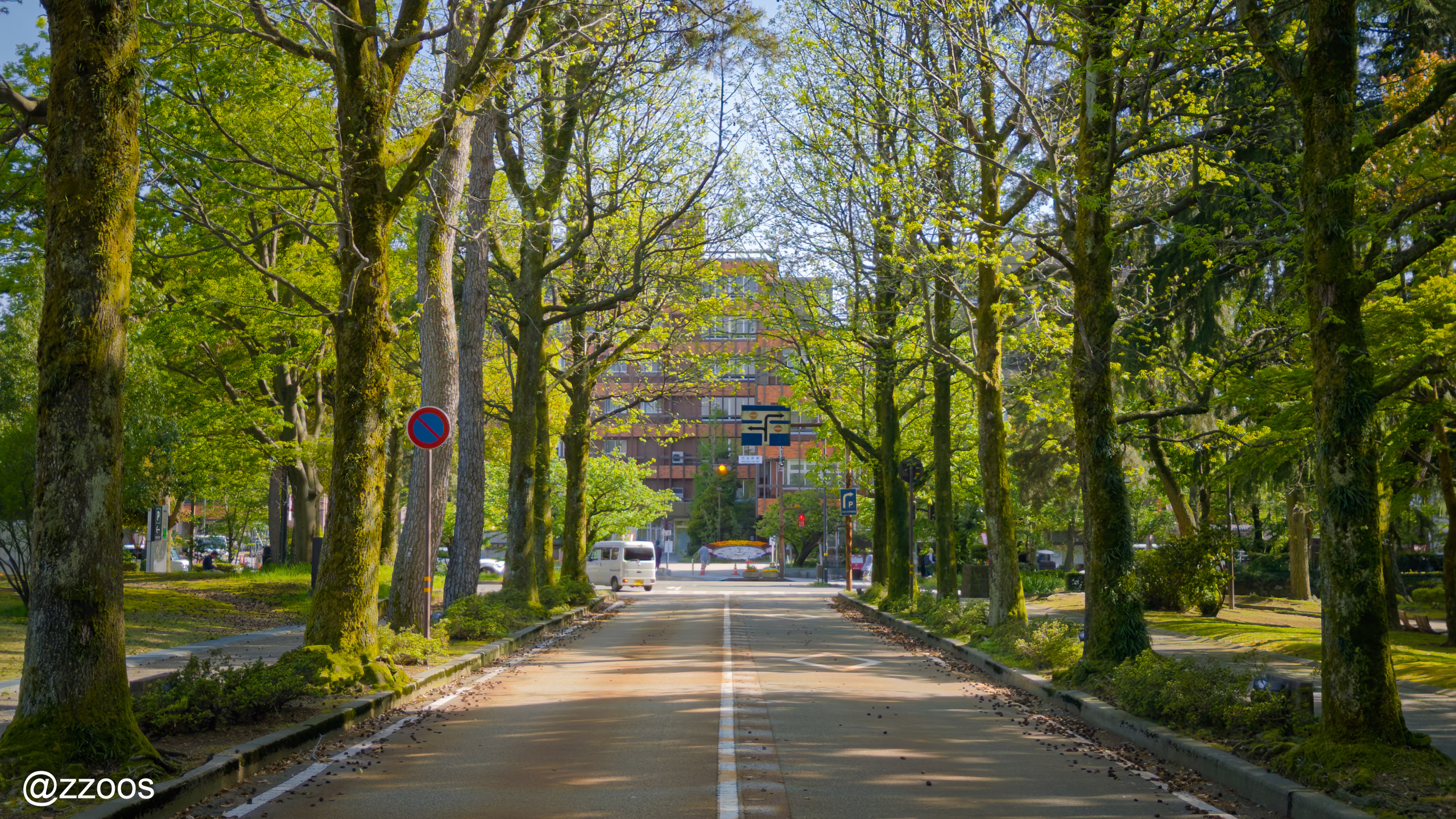 Tree-lined path of Amerika-fu-dori in Kanazawa