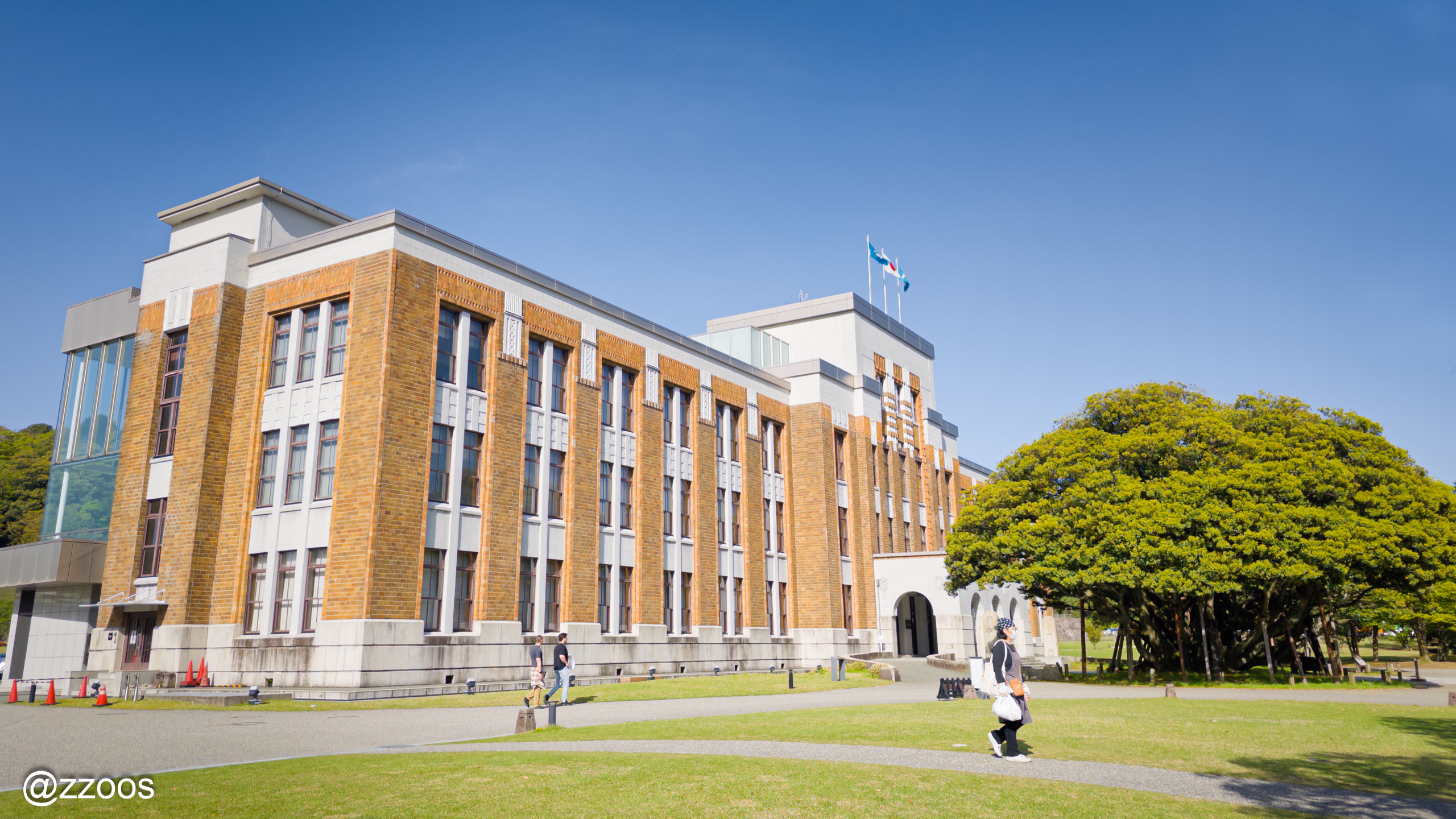 Dogatanoshiinoki trees in front of Shiinoki Cultural Complex