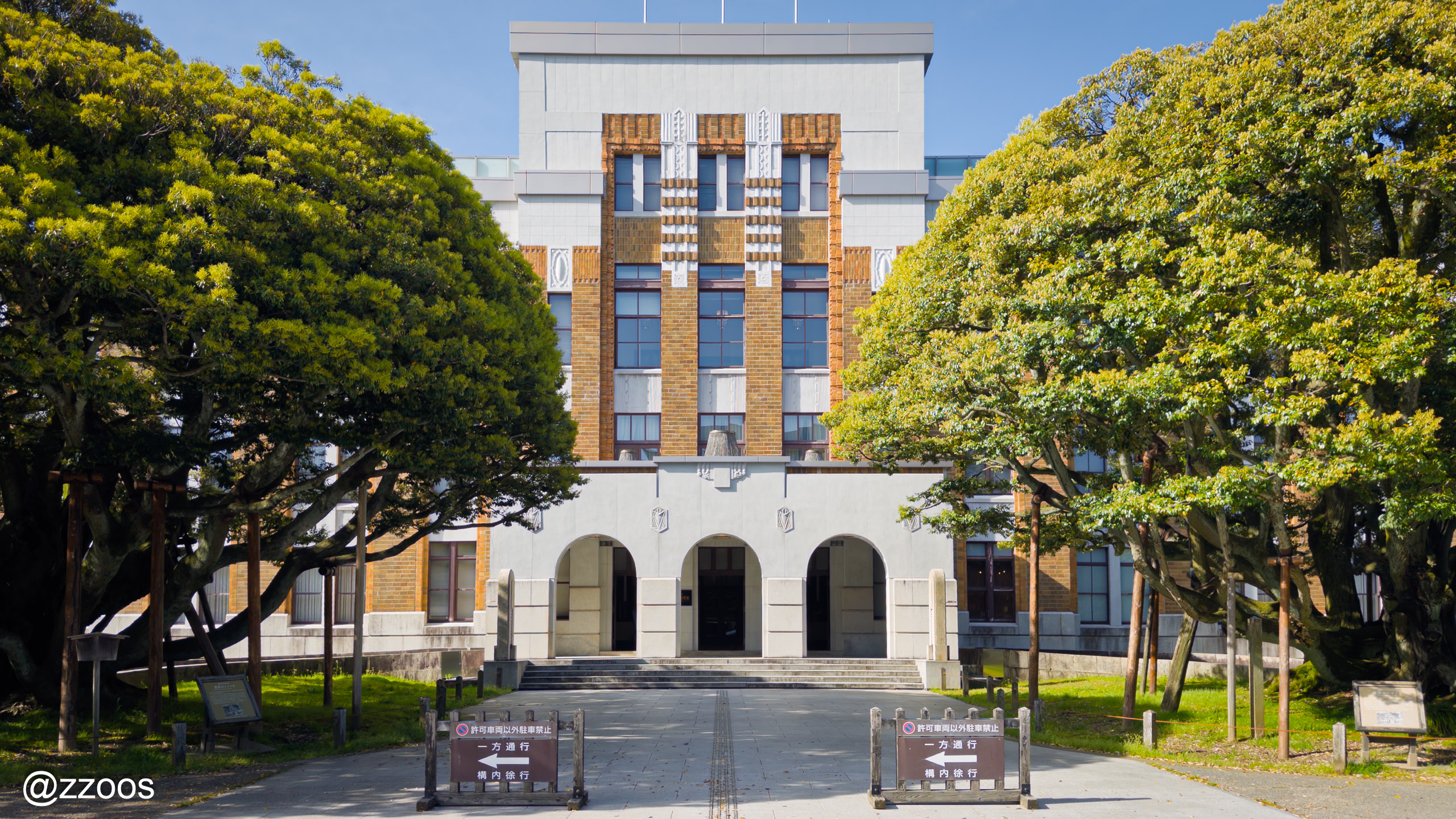 Two shiinoki trees in front of Shiinoki Cultural Complex