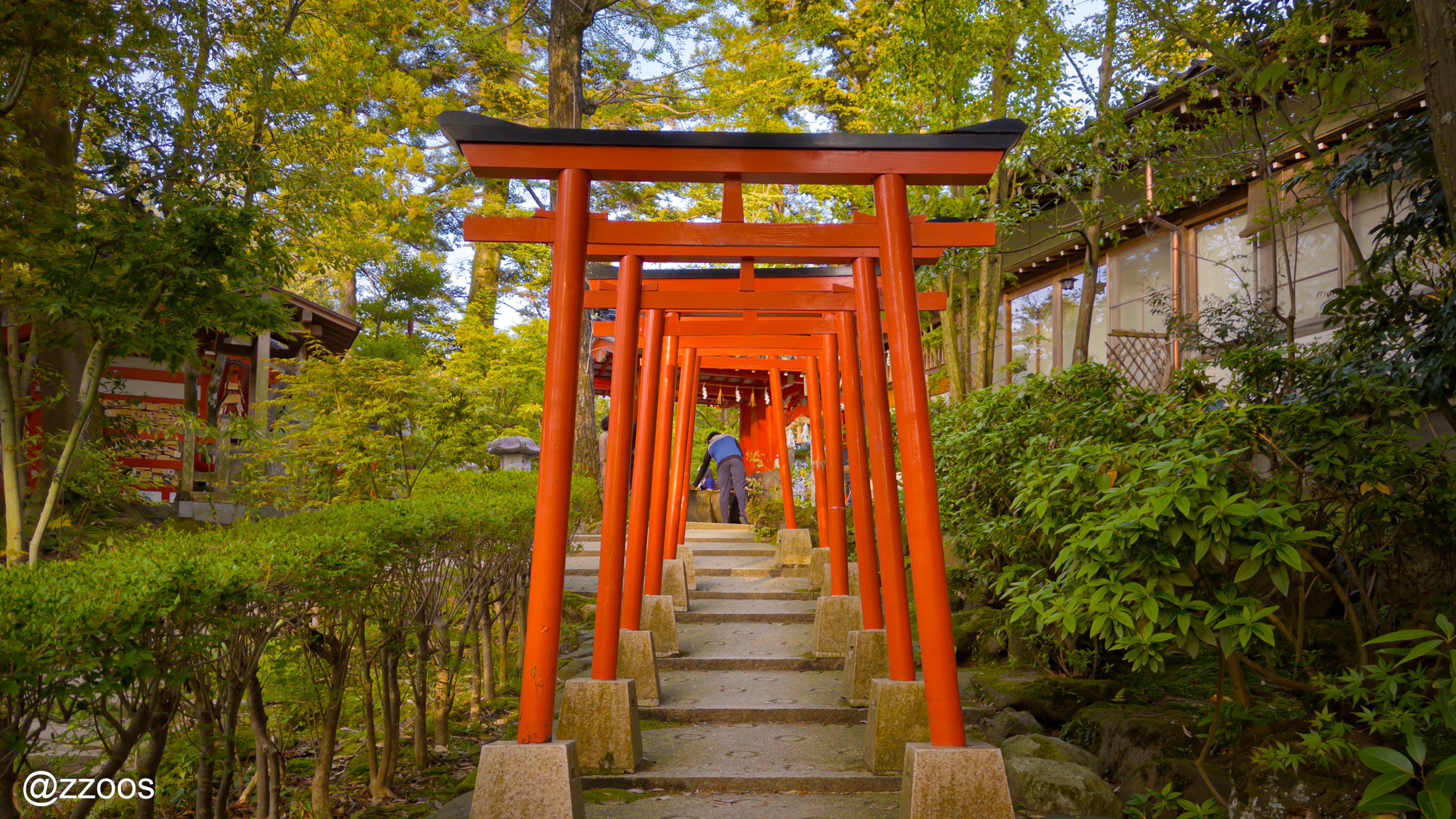 A row of vermilion torii gates leading up to the haiden at Kanazawa Shrine