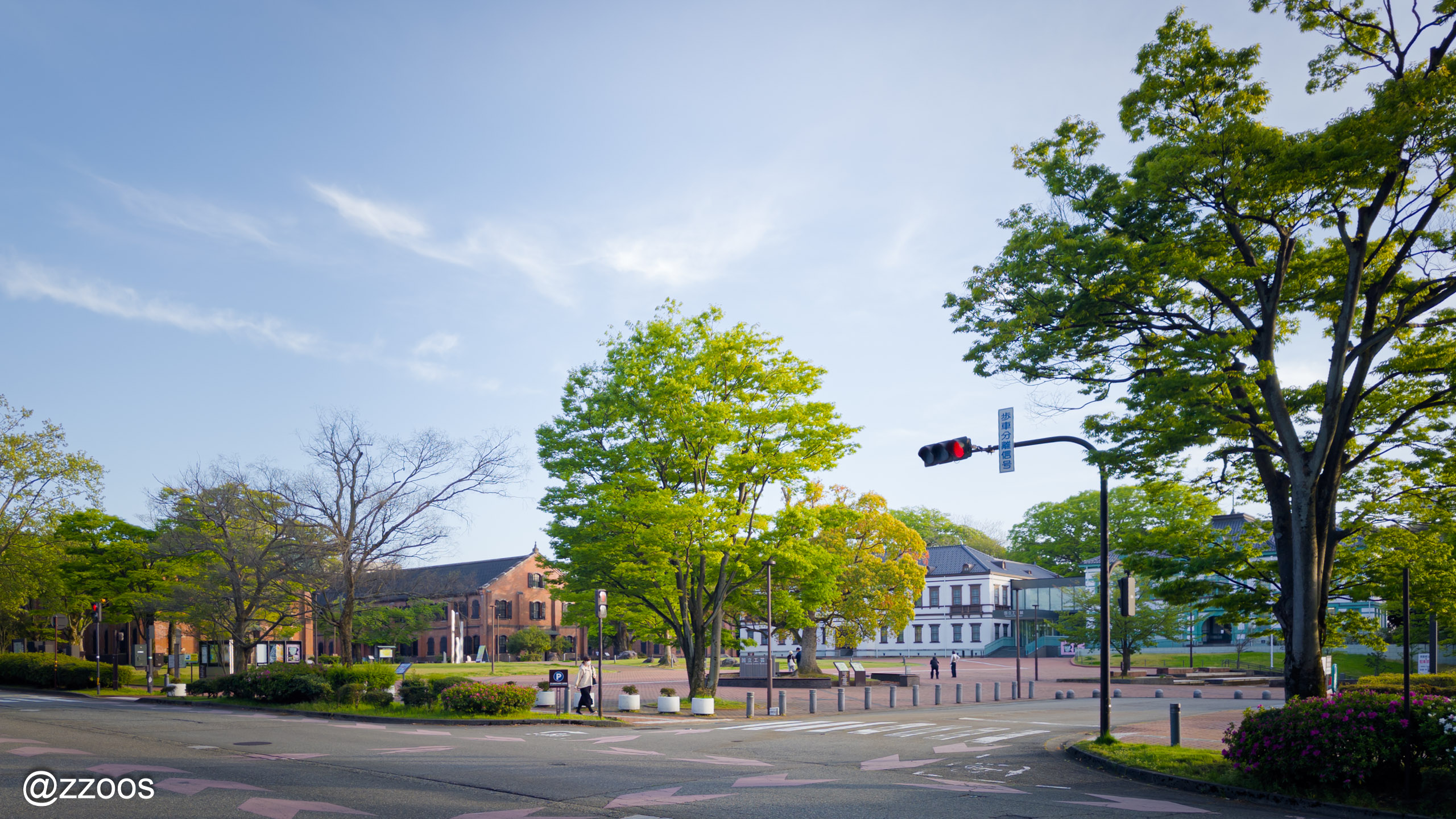 Honda-no-Mori Park, wide open lawn and grounds in the distance