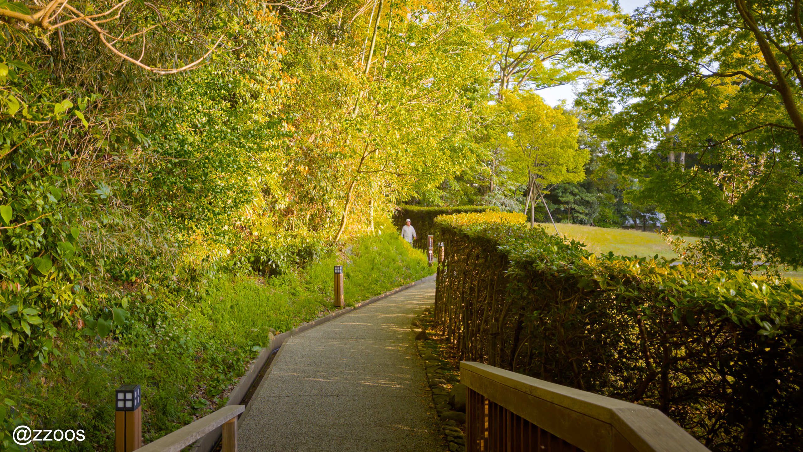 Midori no Komichi green forest path