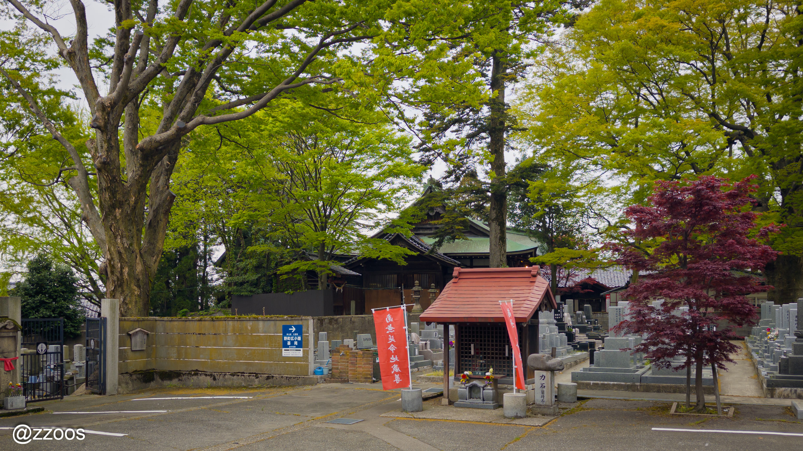 お寺、大蓮寺の隣の古いお墓