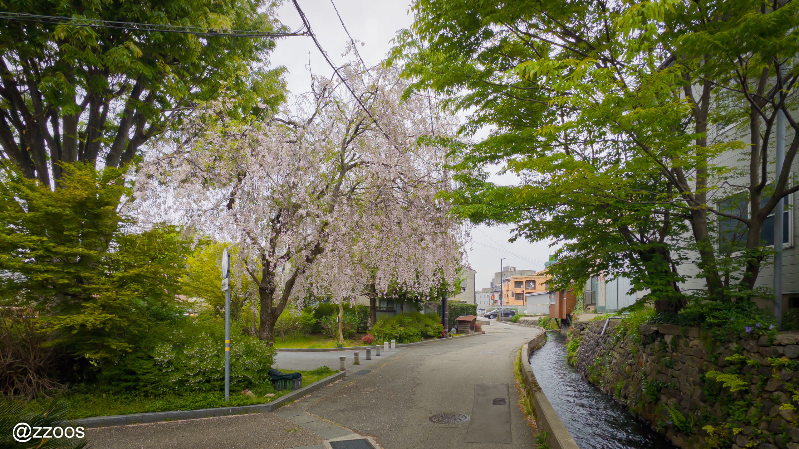 路地の中の小さな公園
