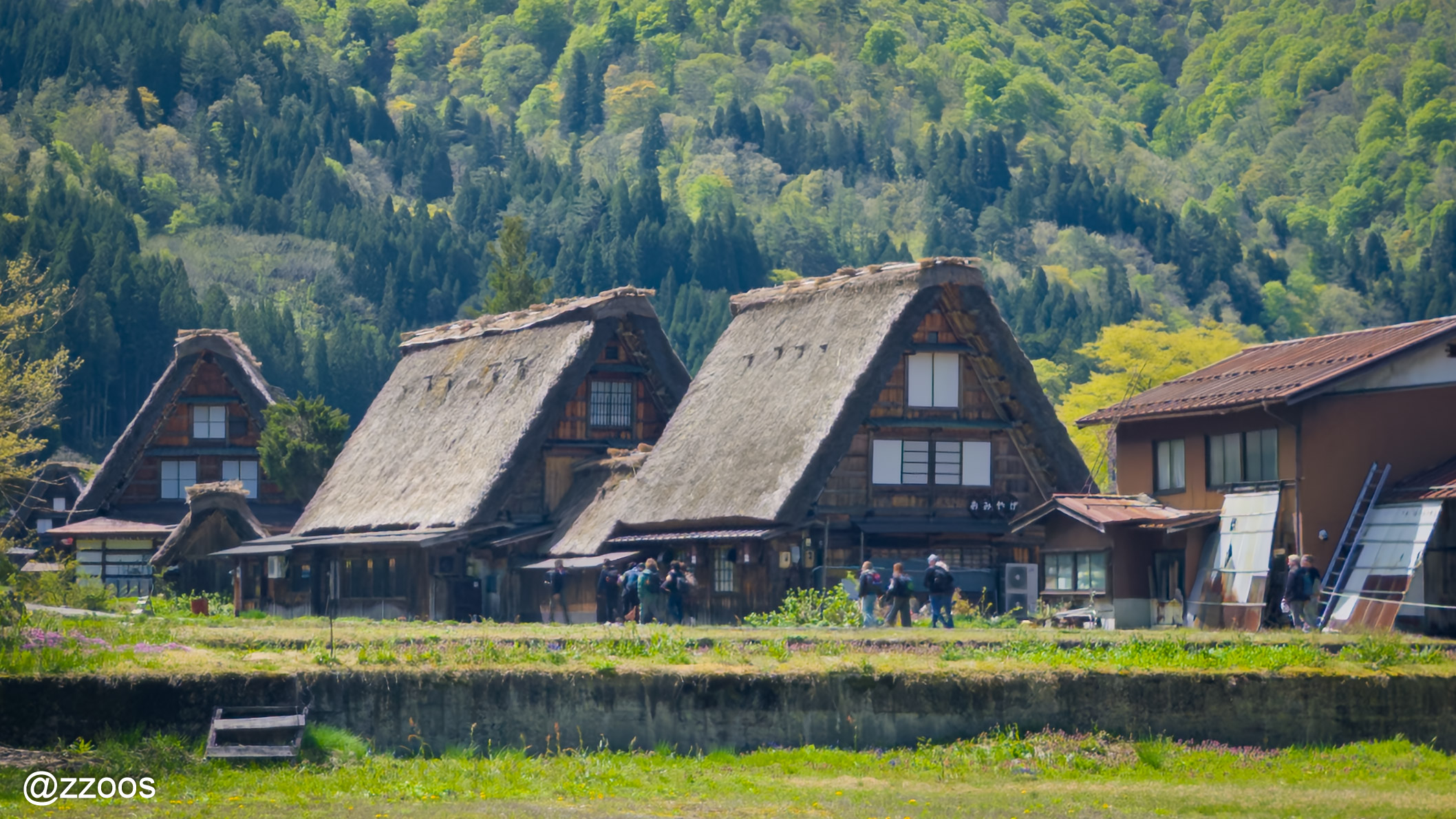 A view of Shirakawa-go