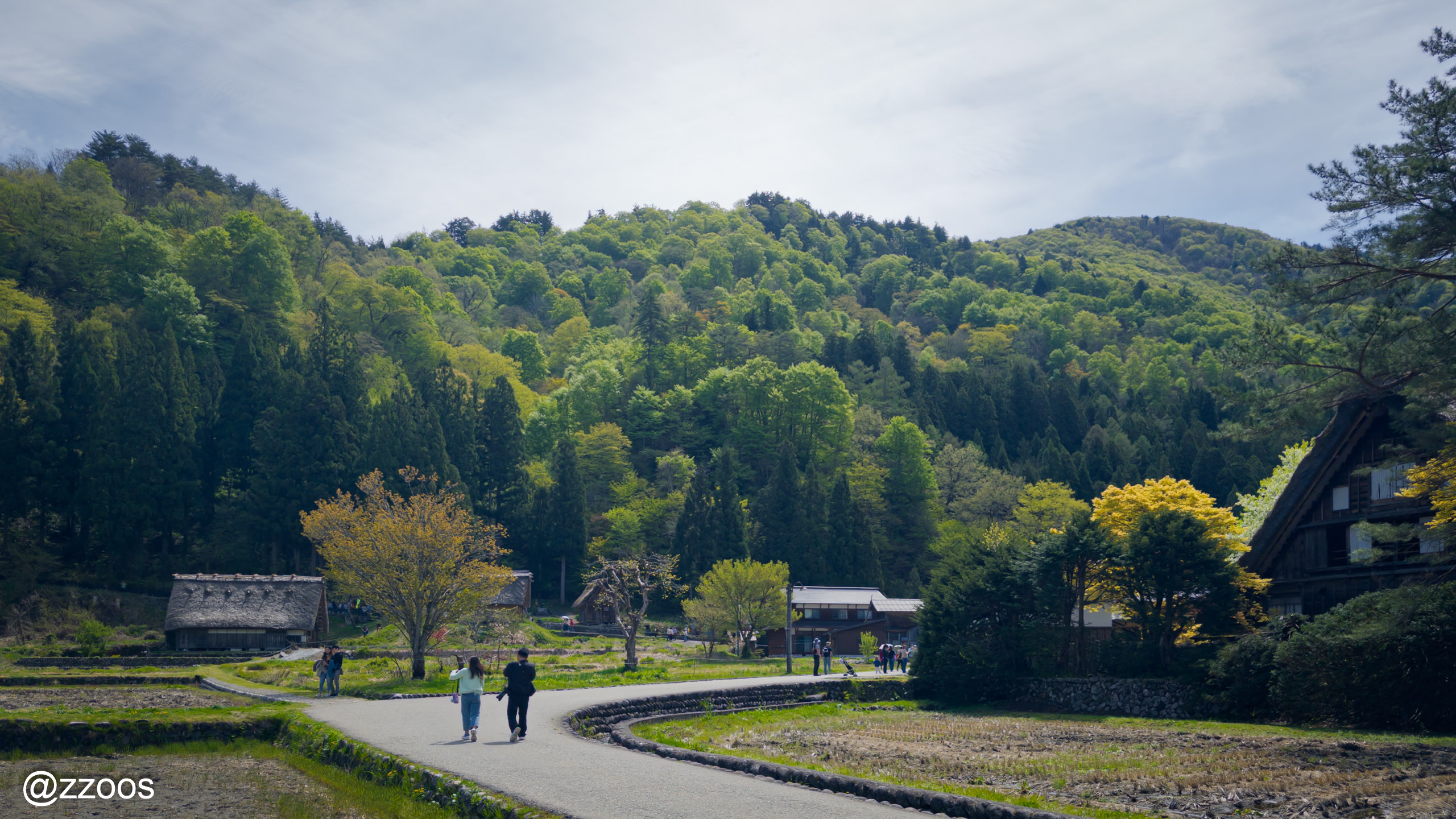 Village path in Shirakawa-go leading toward the observatory