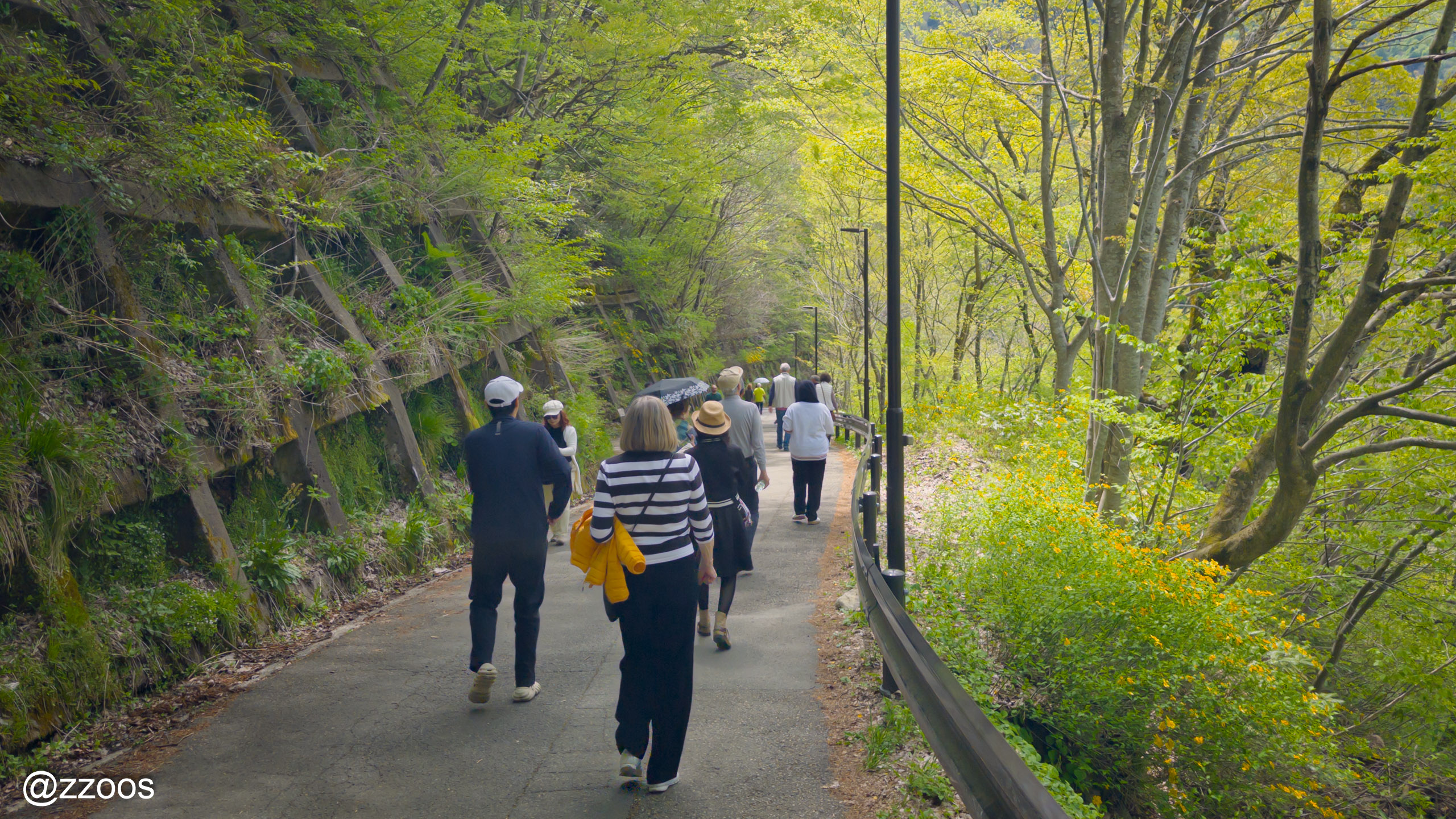The path down from the observatory