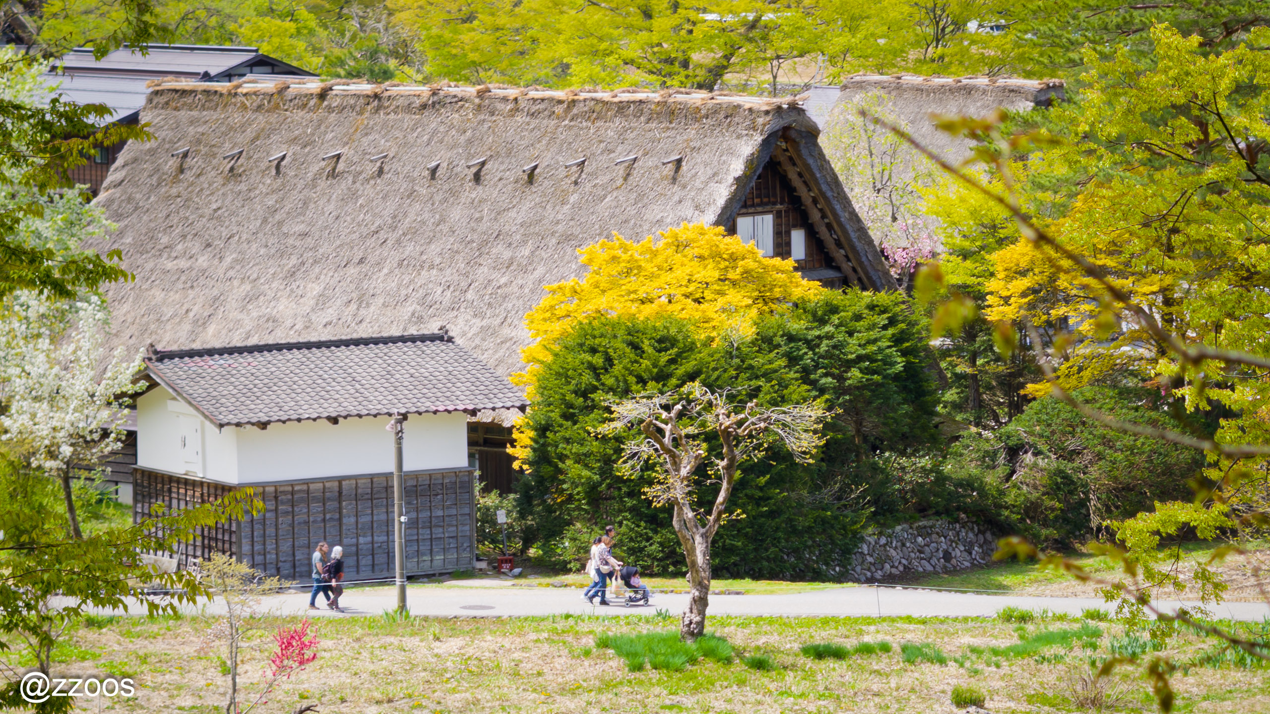 Peaceful countryside scene in Shirakawa-go