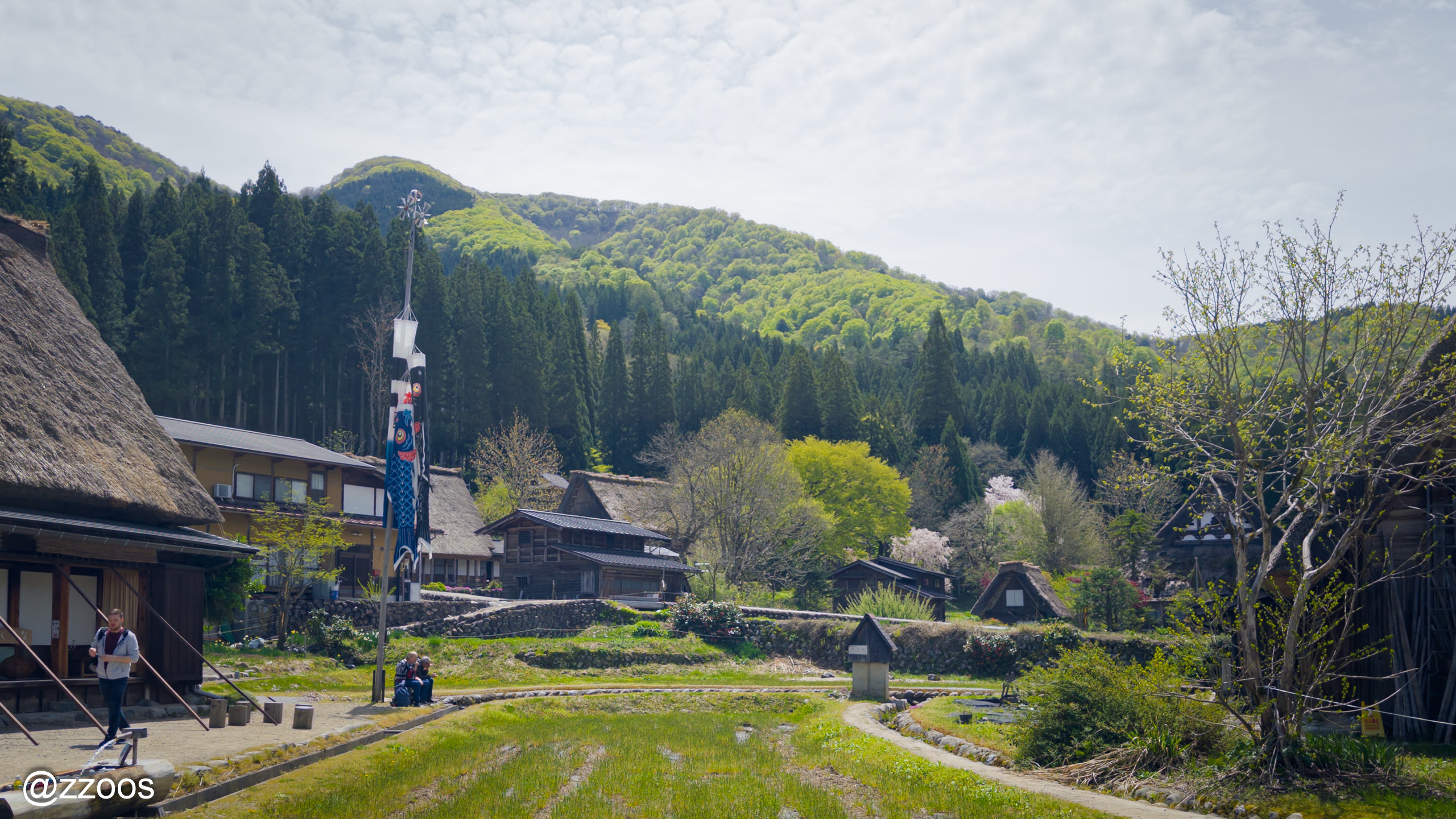 Grass-covered rice paddies in Shirakawa-go before planting