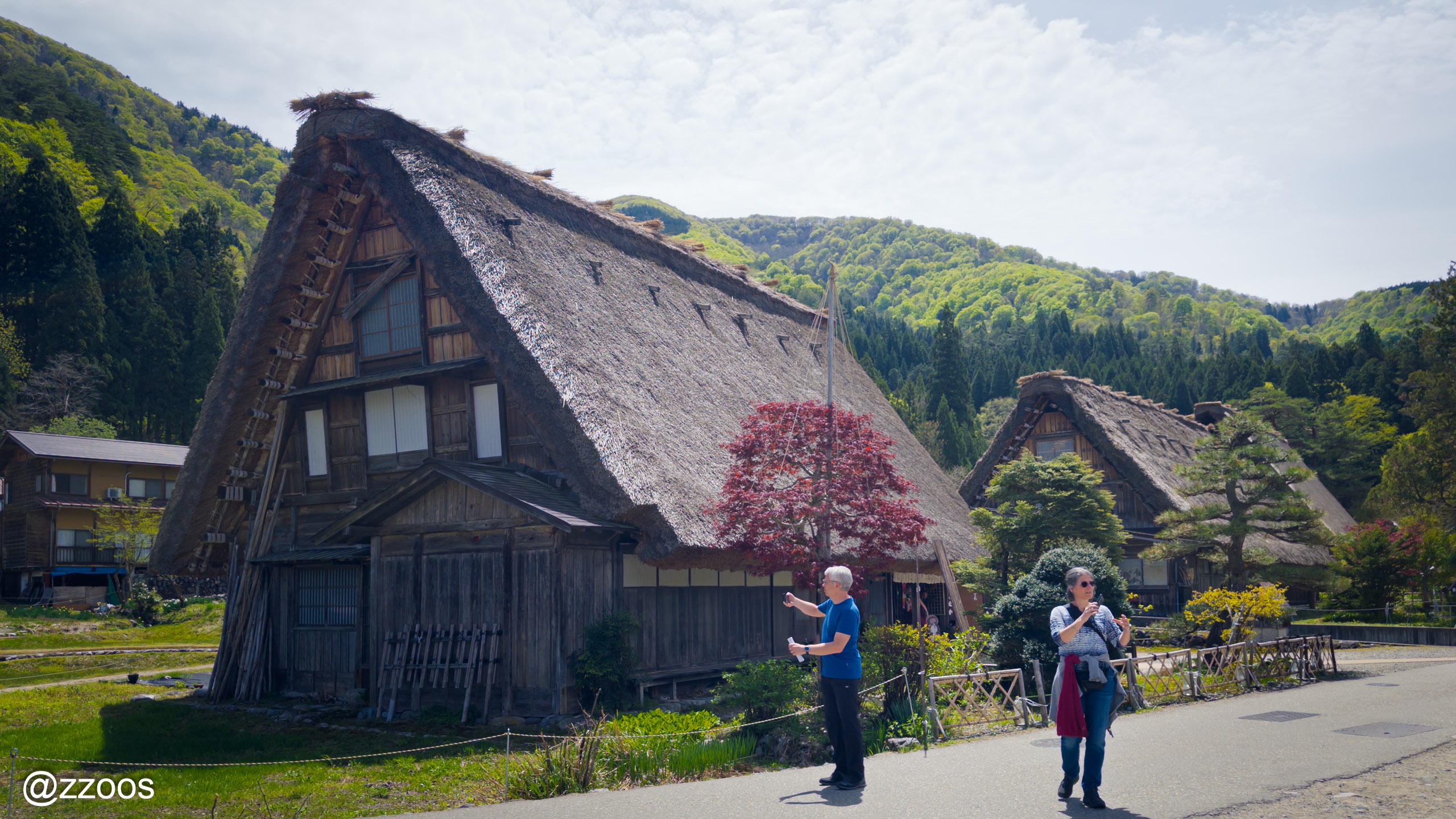 Pointed gassho-zukuri roofs lined up throughout the village