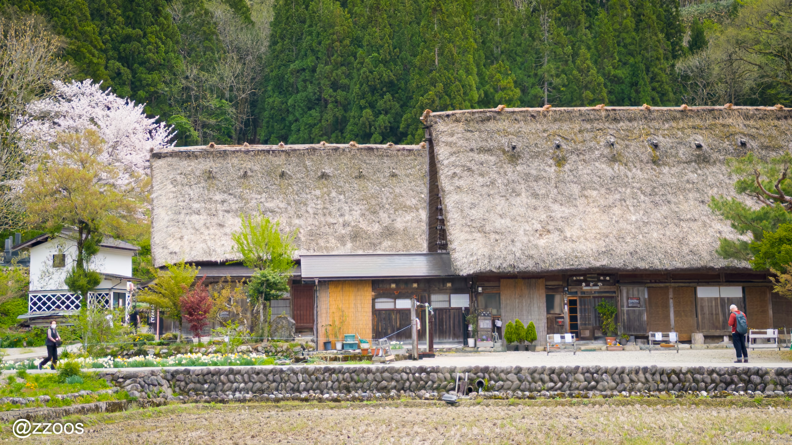 The Shirakawa-go minshuku building Kidoya