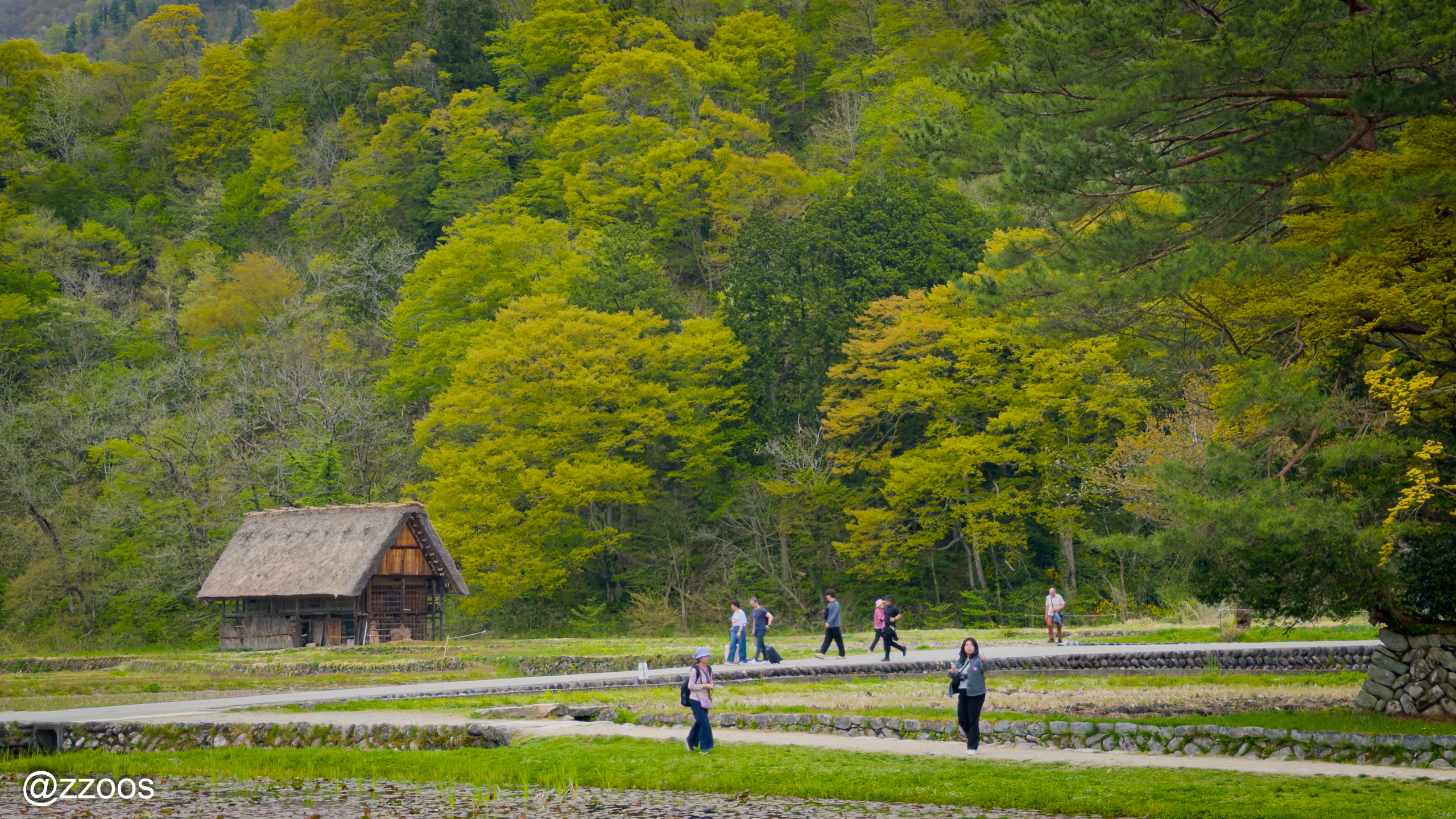 Scenery of Shirakawa-go village set deep in the mountains