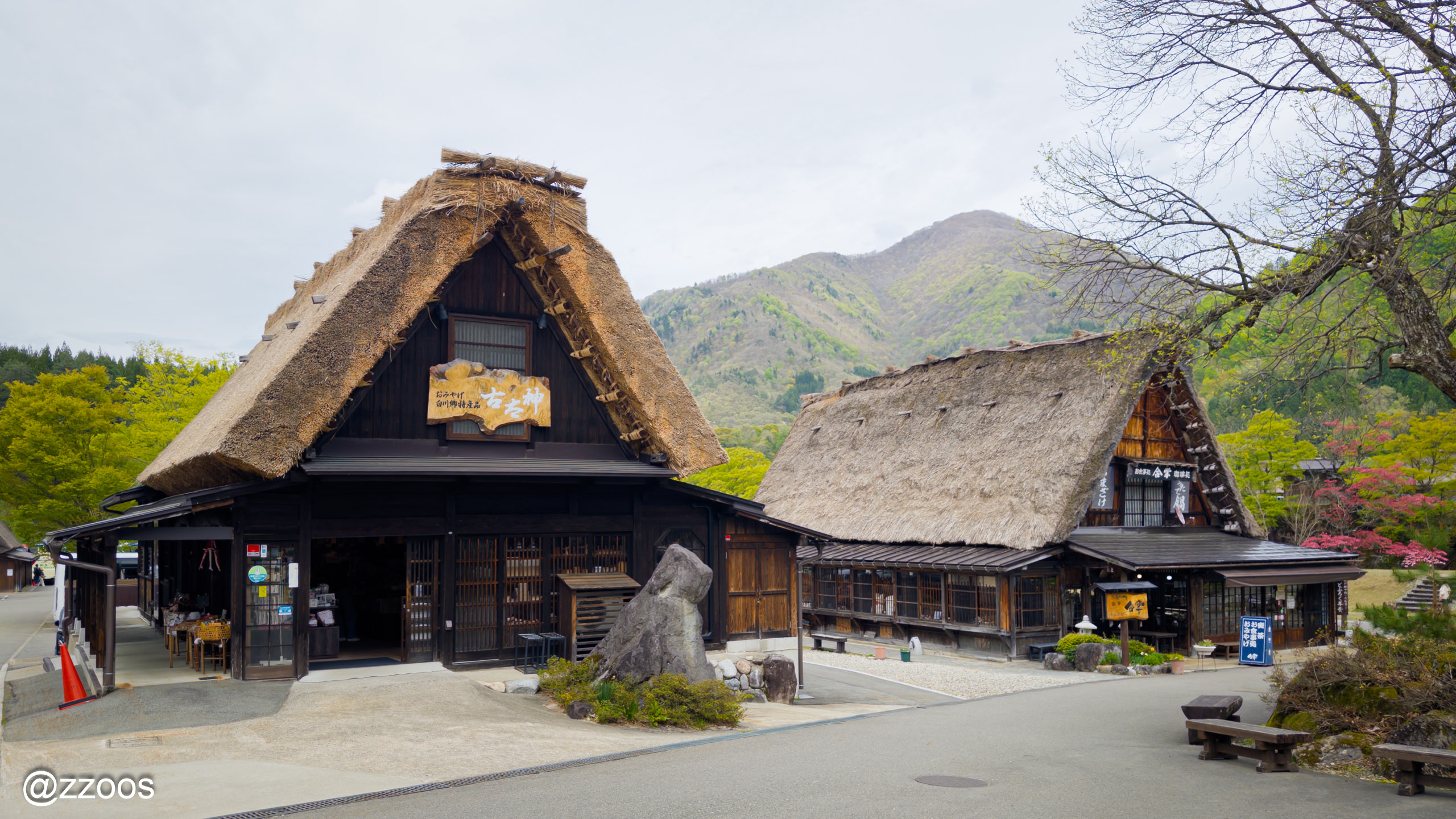 Shirakawa-go souvenir shops with gassho-zukuri roofs