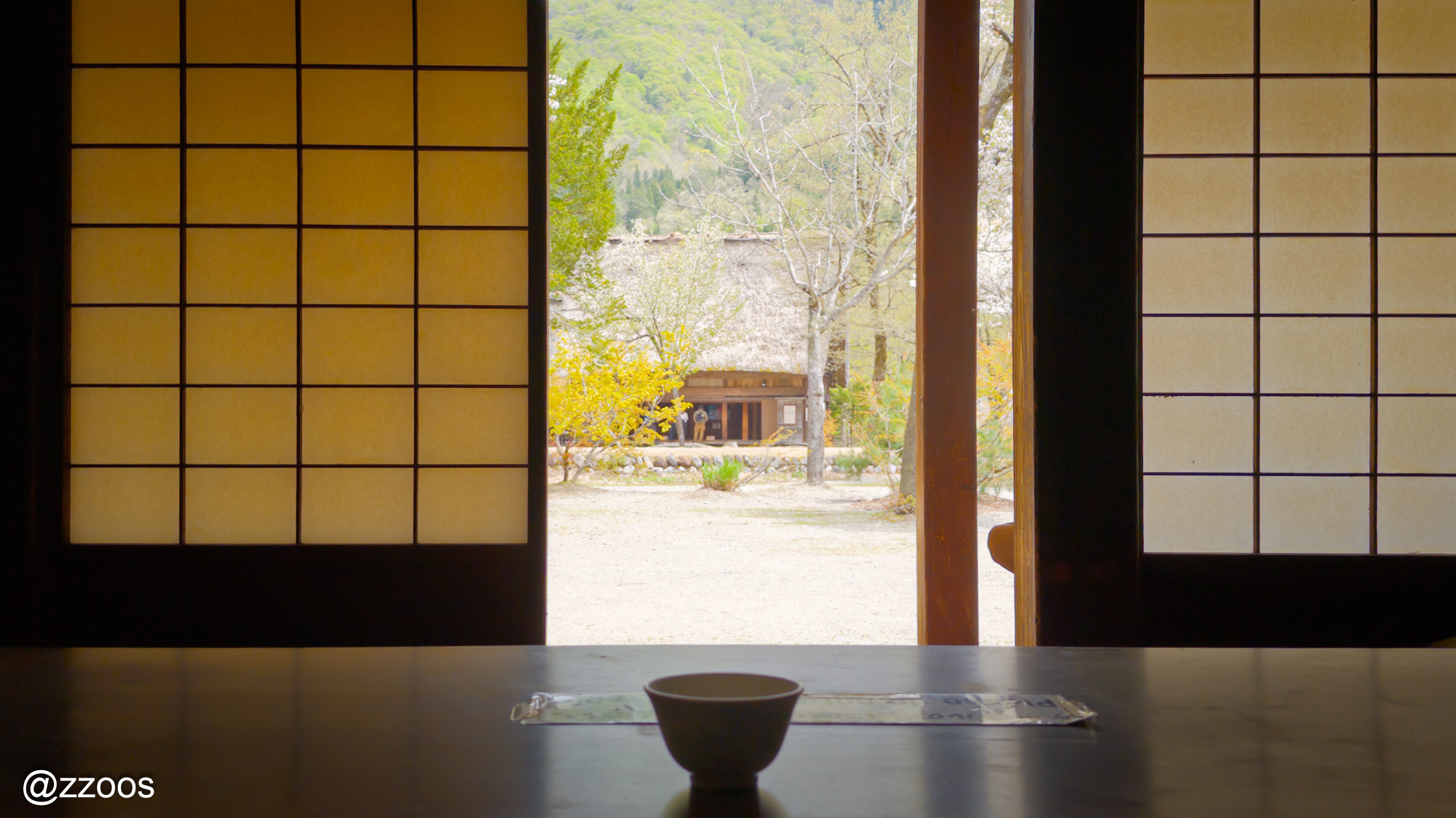 View out the door from a gassho-zukuri house while drinking green tea