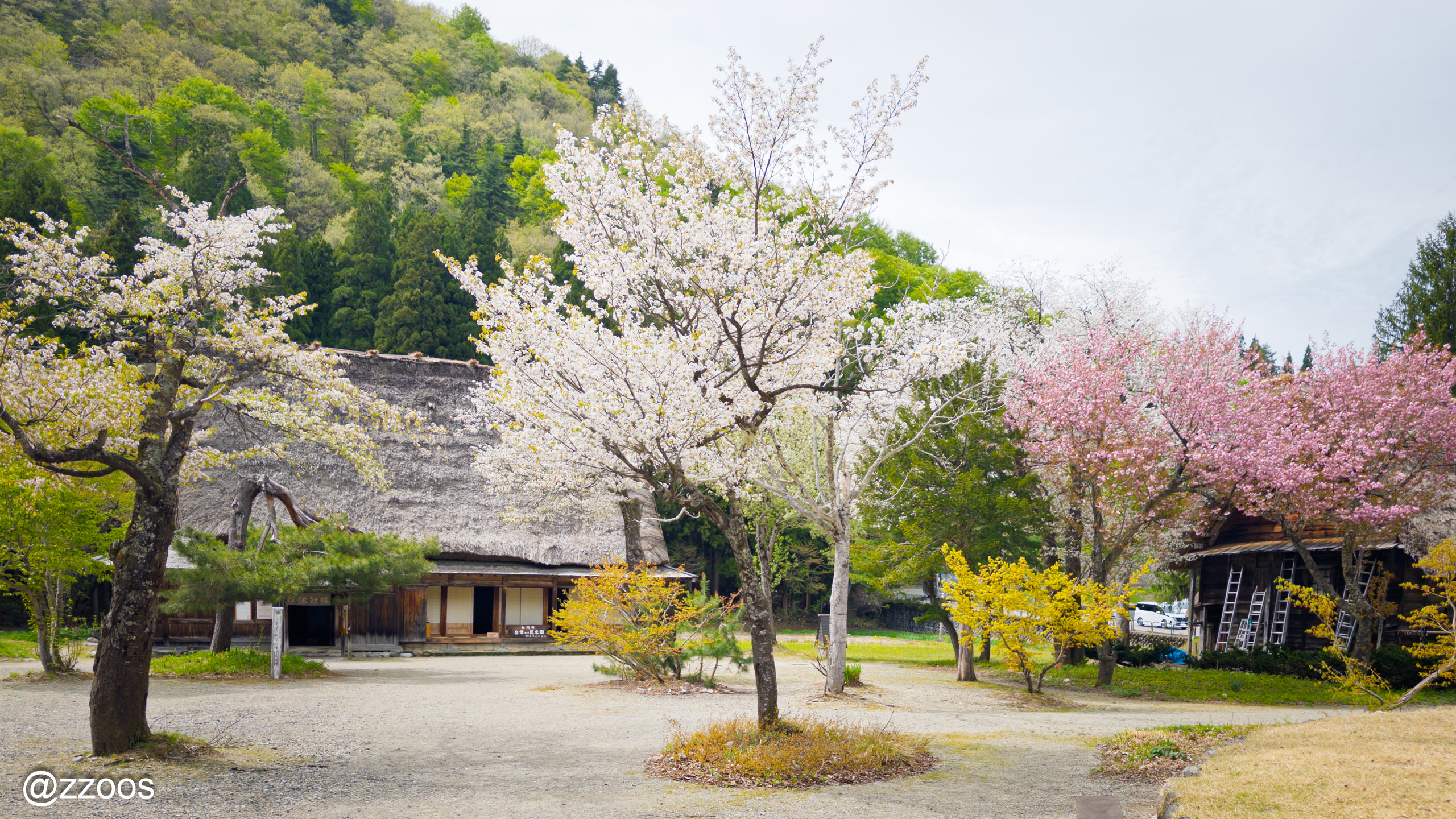 Spring blossoms still in bloom at the Minka-en