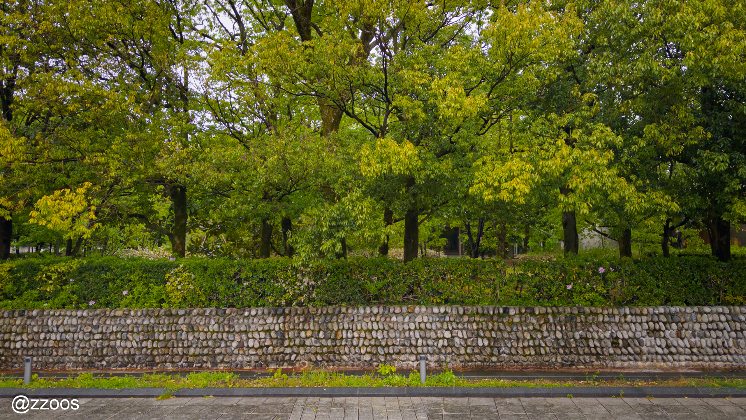 高志の国文学館のとなりの庭園