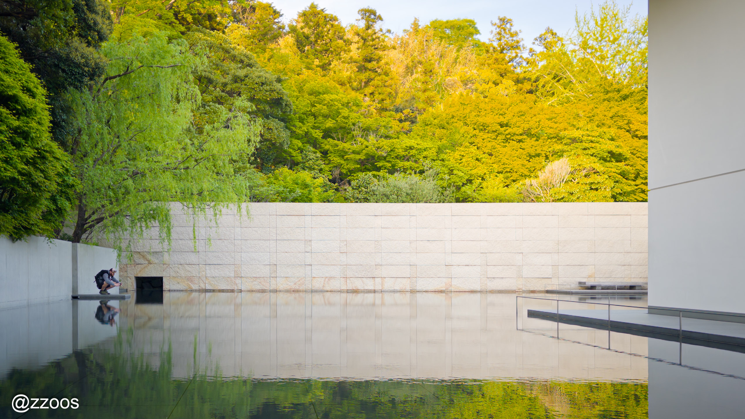 The quiet space of the D.T. Suzuki Museum, surrounded by water and trees